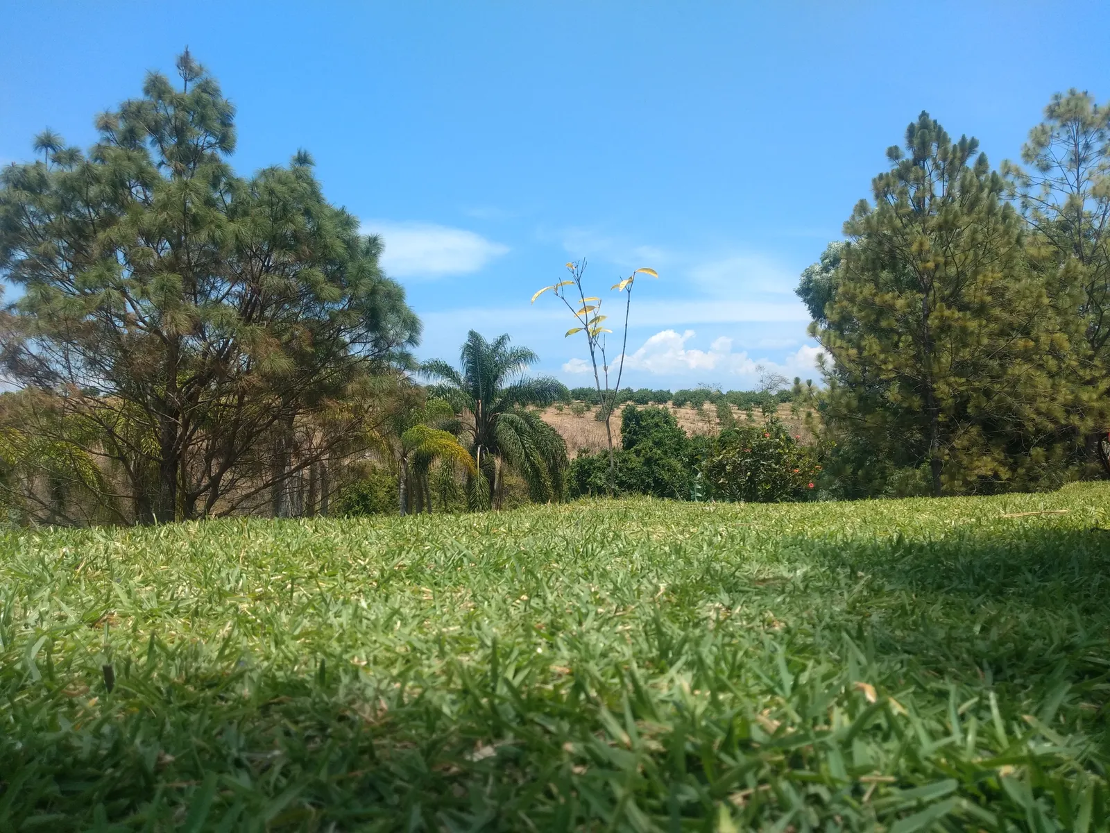 Granja y Restaurante "El Copal" image 6