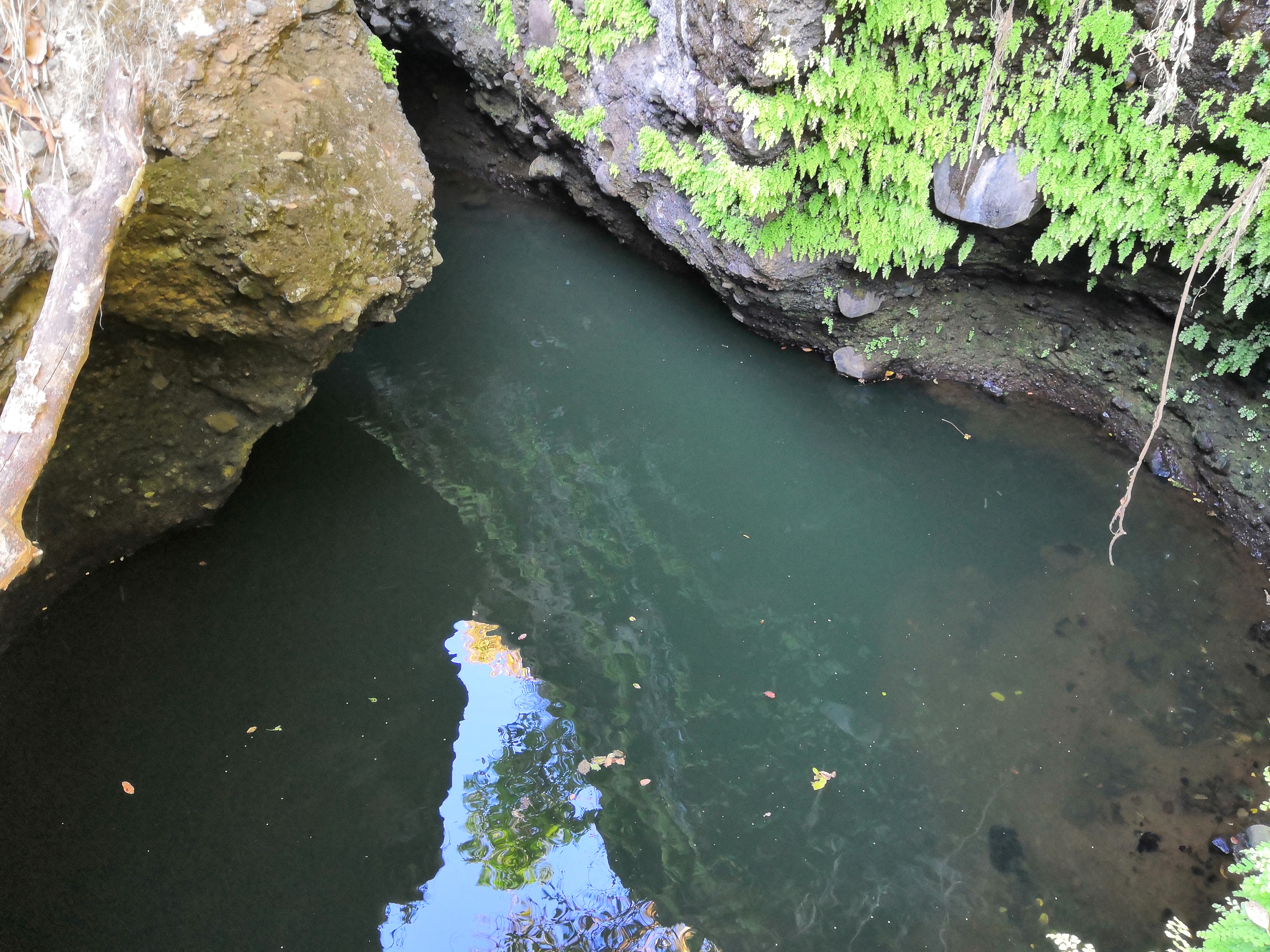 Granja y Restaurante "El Copal" image 8