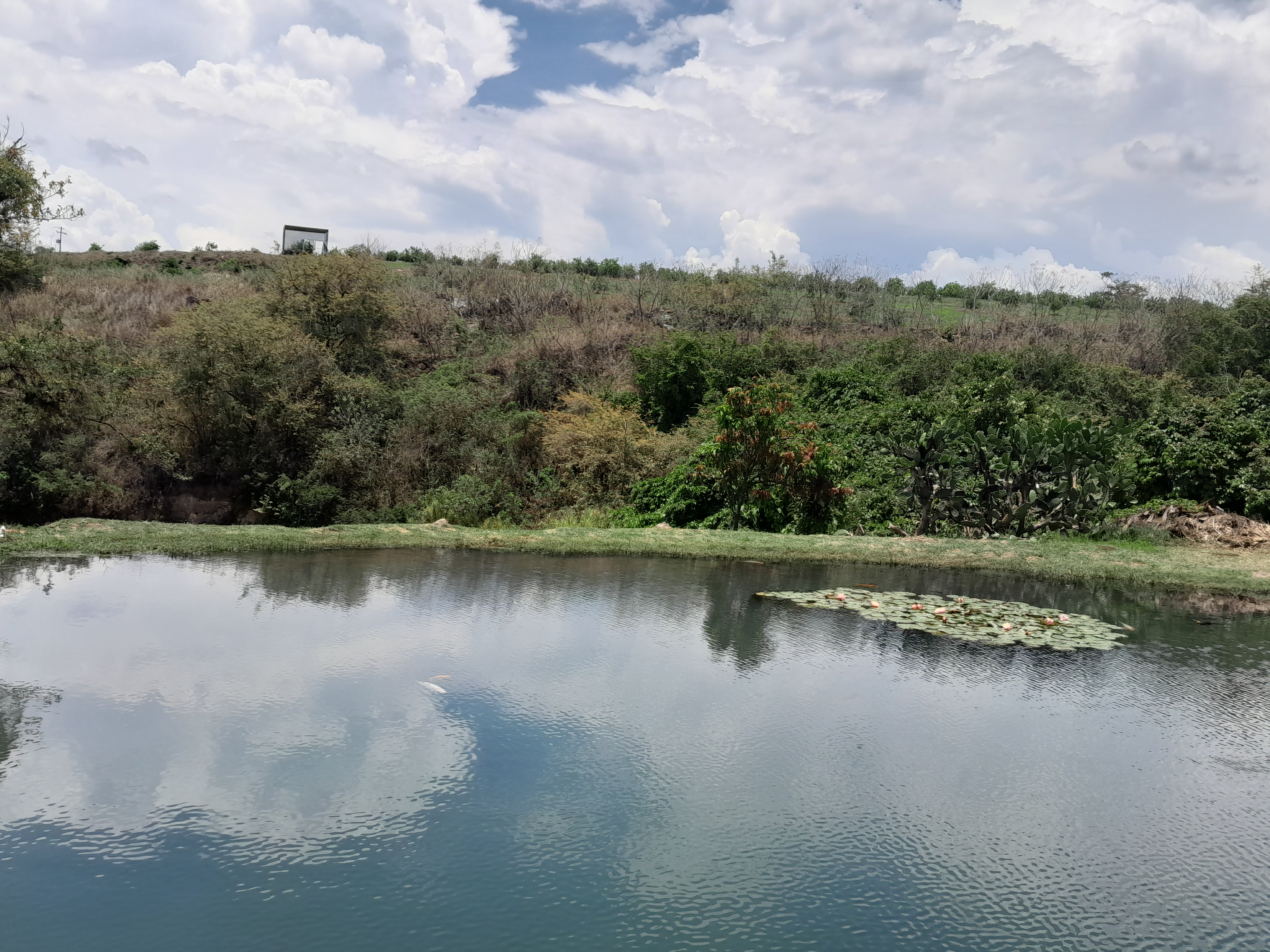 Granja y Restaurante "El Copal" image 9