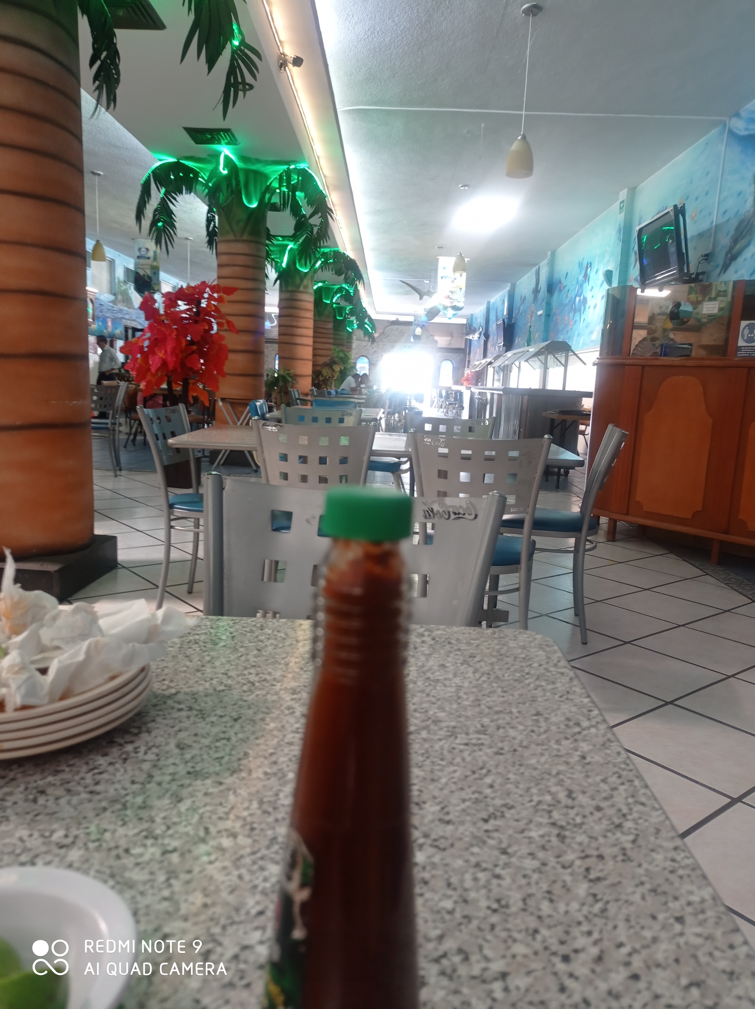 Marisco El Océano image 8