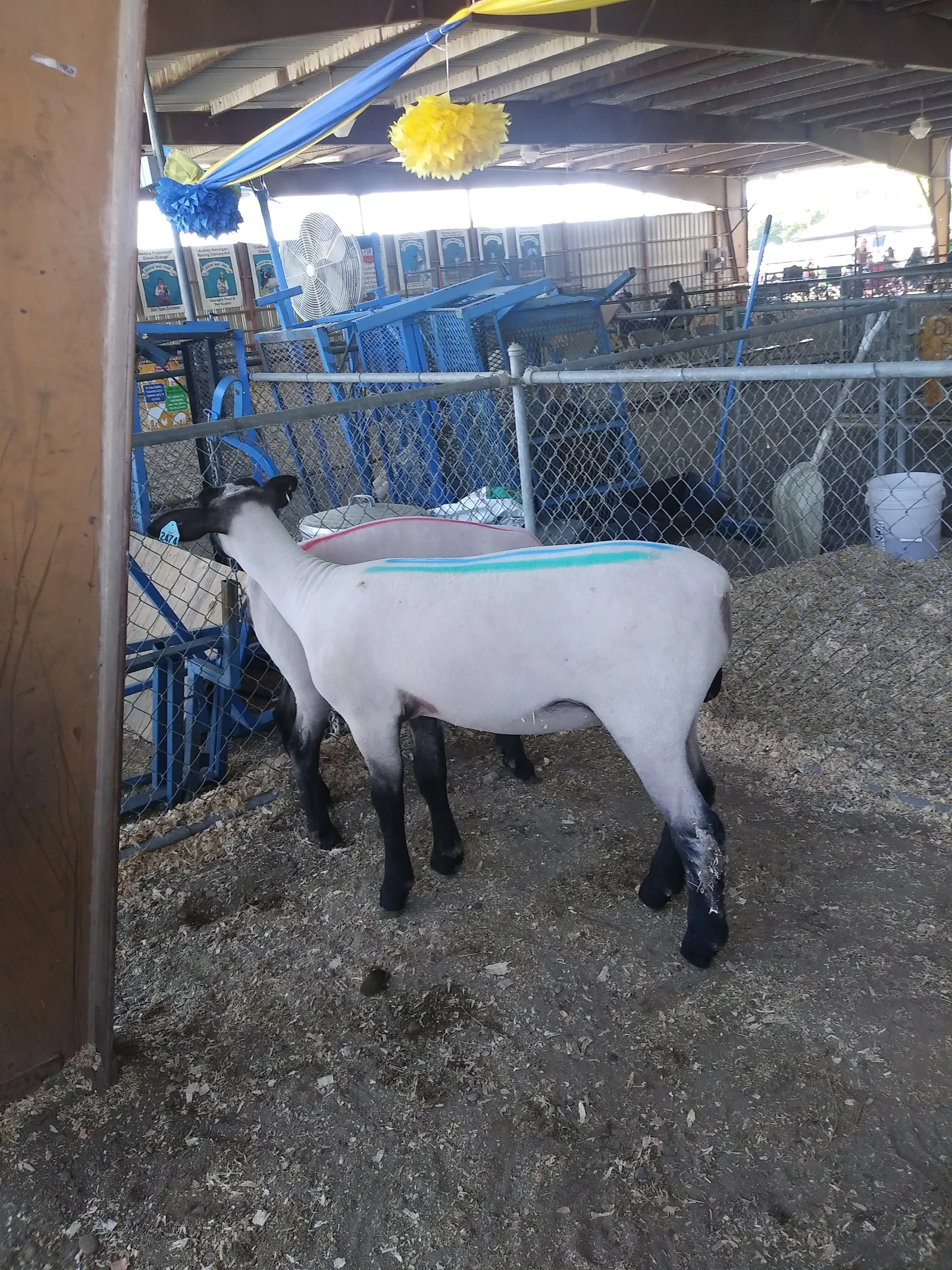 Barbacoa El Güero Zamudio image 6