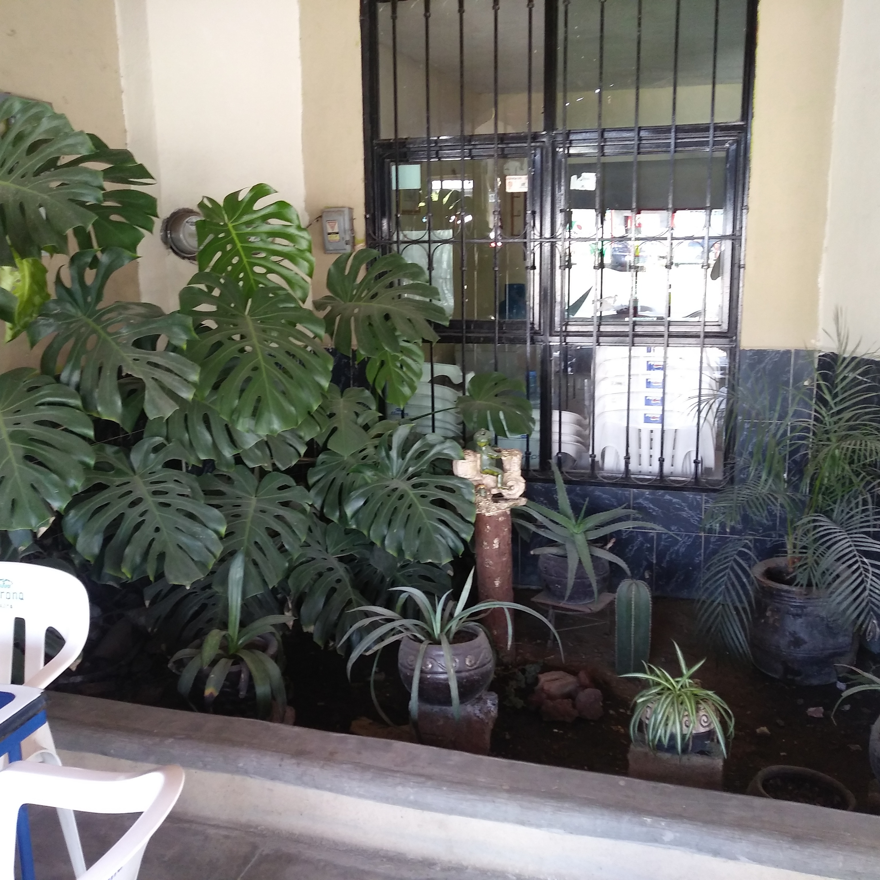 Barbacoa El Güero Zamudio image 8