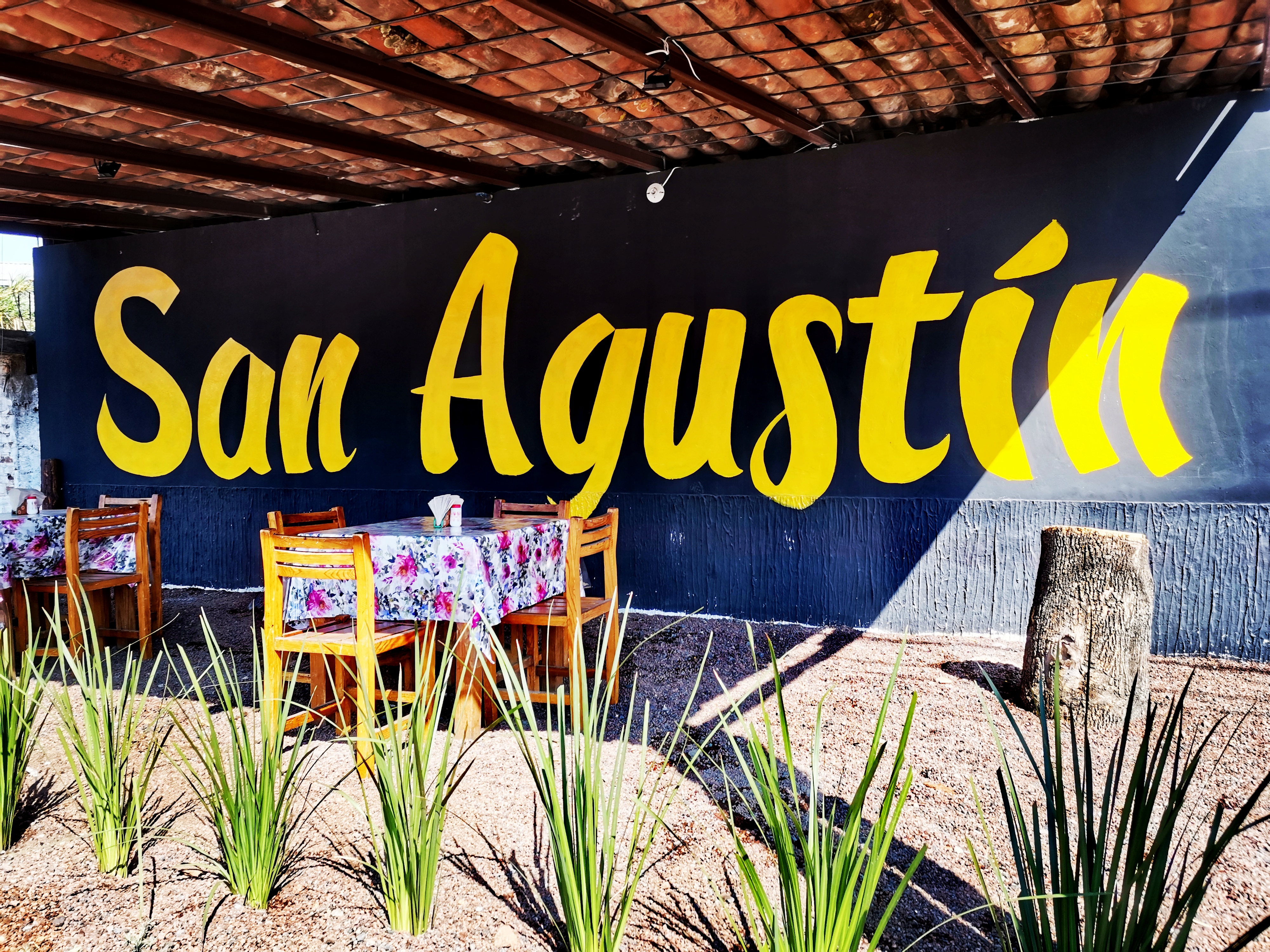 Los Dorados De Res "San Agustín" image 2