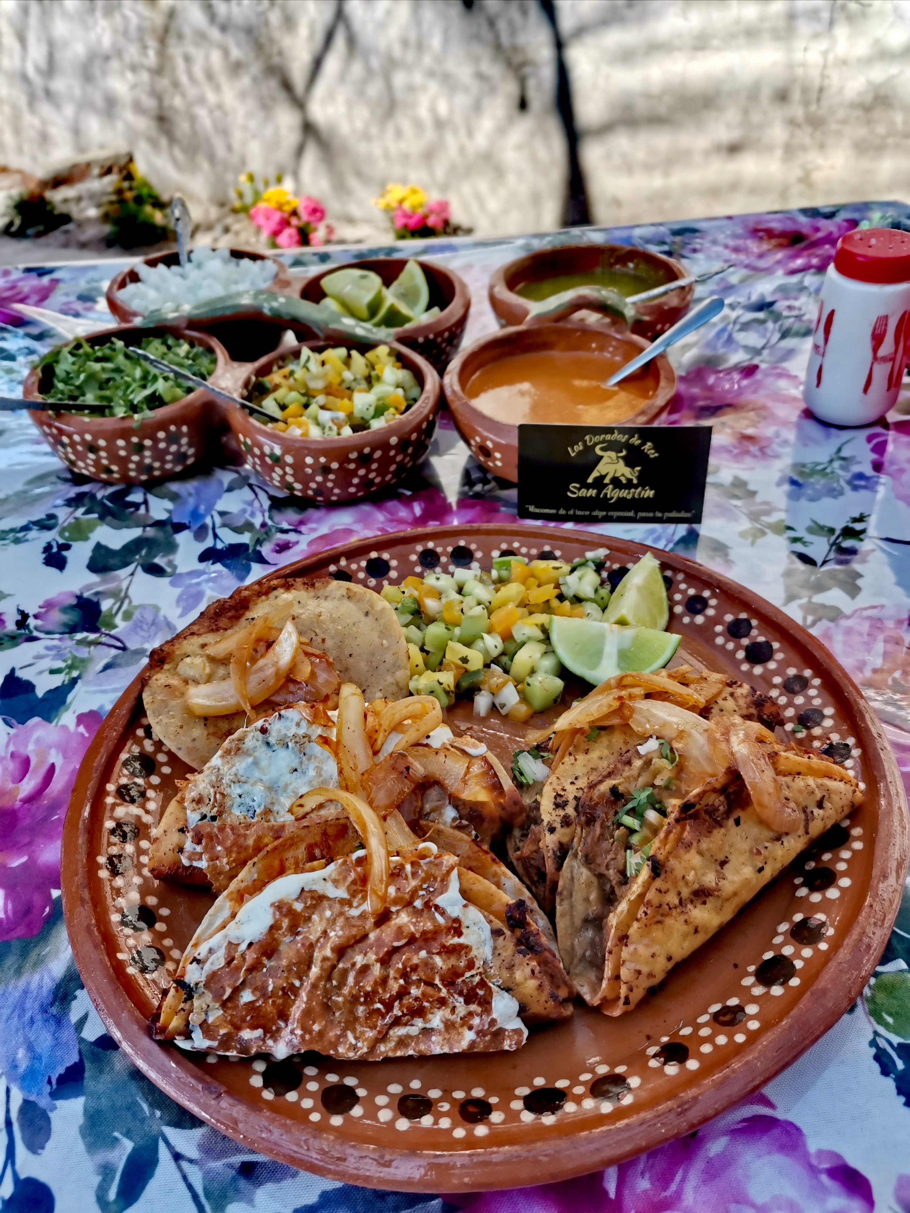 Los Dorados De Res "San Agustín" image 6