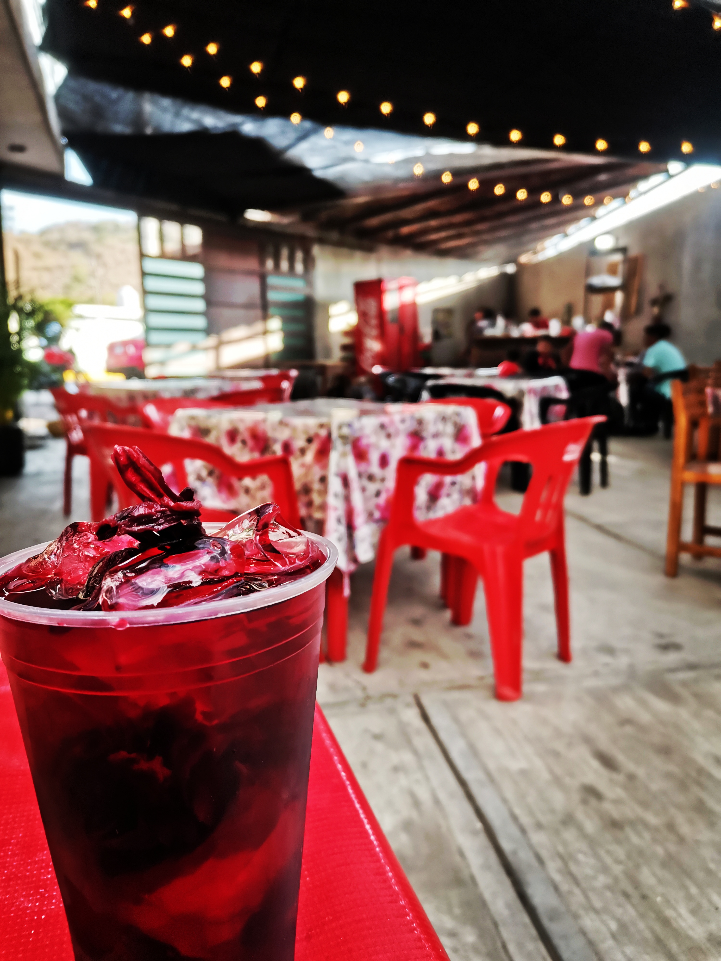 Los Dorados De Res "San Agustín" image 9