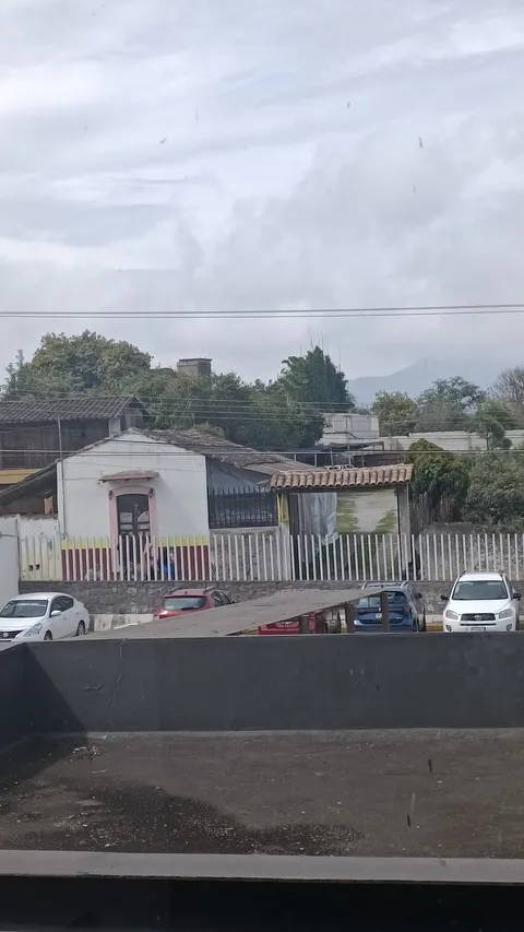 Los Morrongos Restaurante image 2
