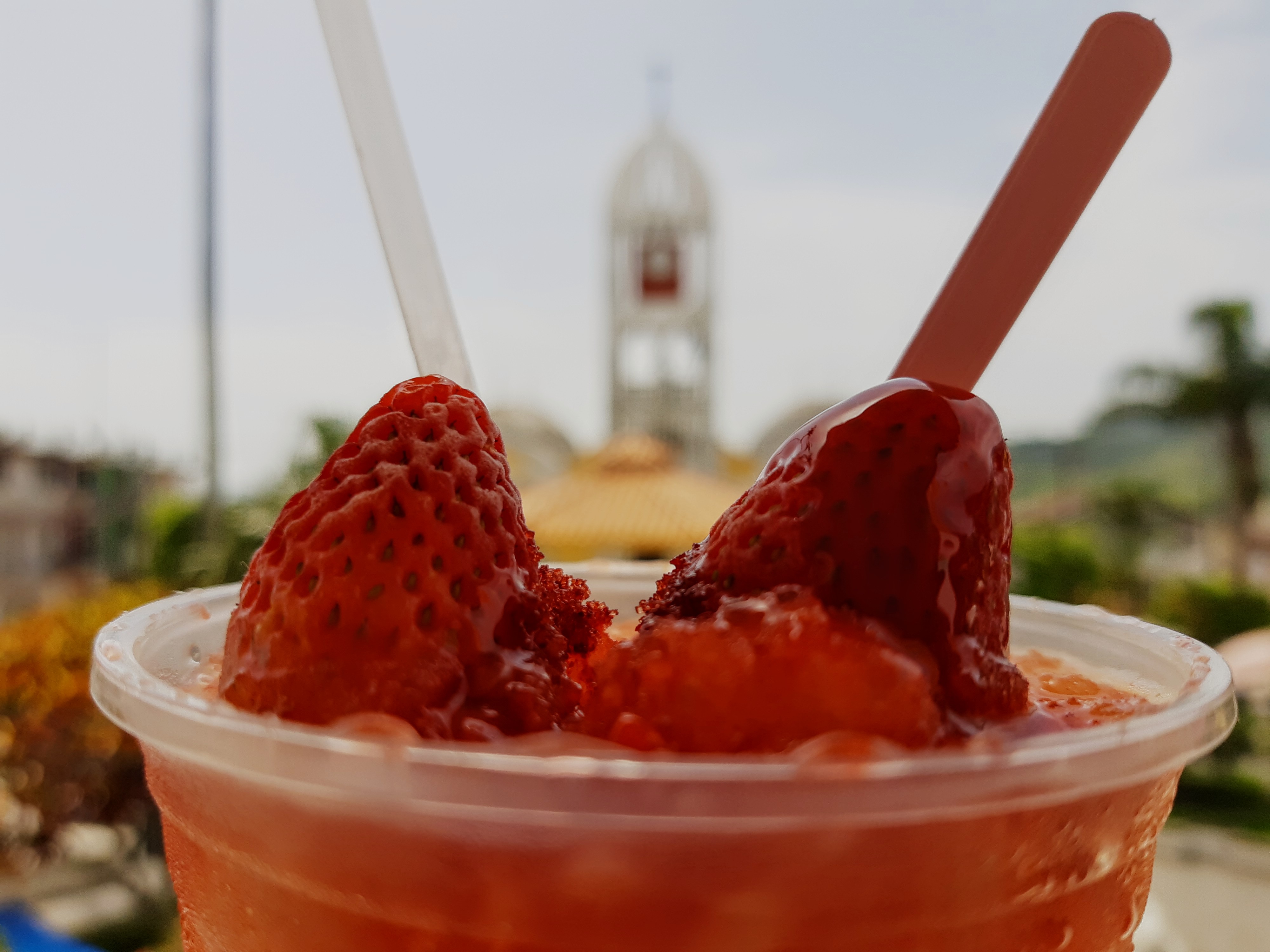 La Yecuateca image 7