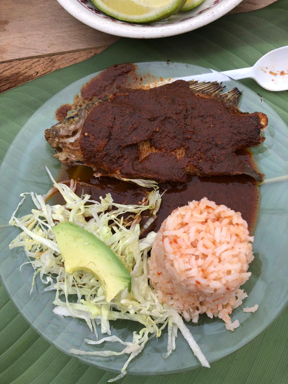 Cría y venta de mojarra Renkast restaurante y ecoturismo image 1