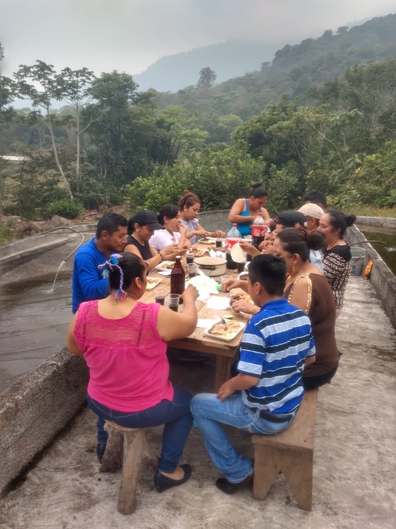 Cría y venta de mojarra Renkast restaurante y ecoturismo image 5
