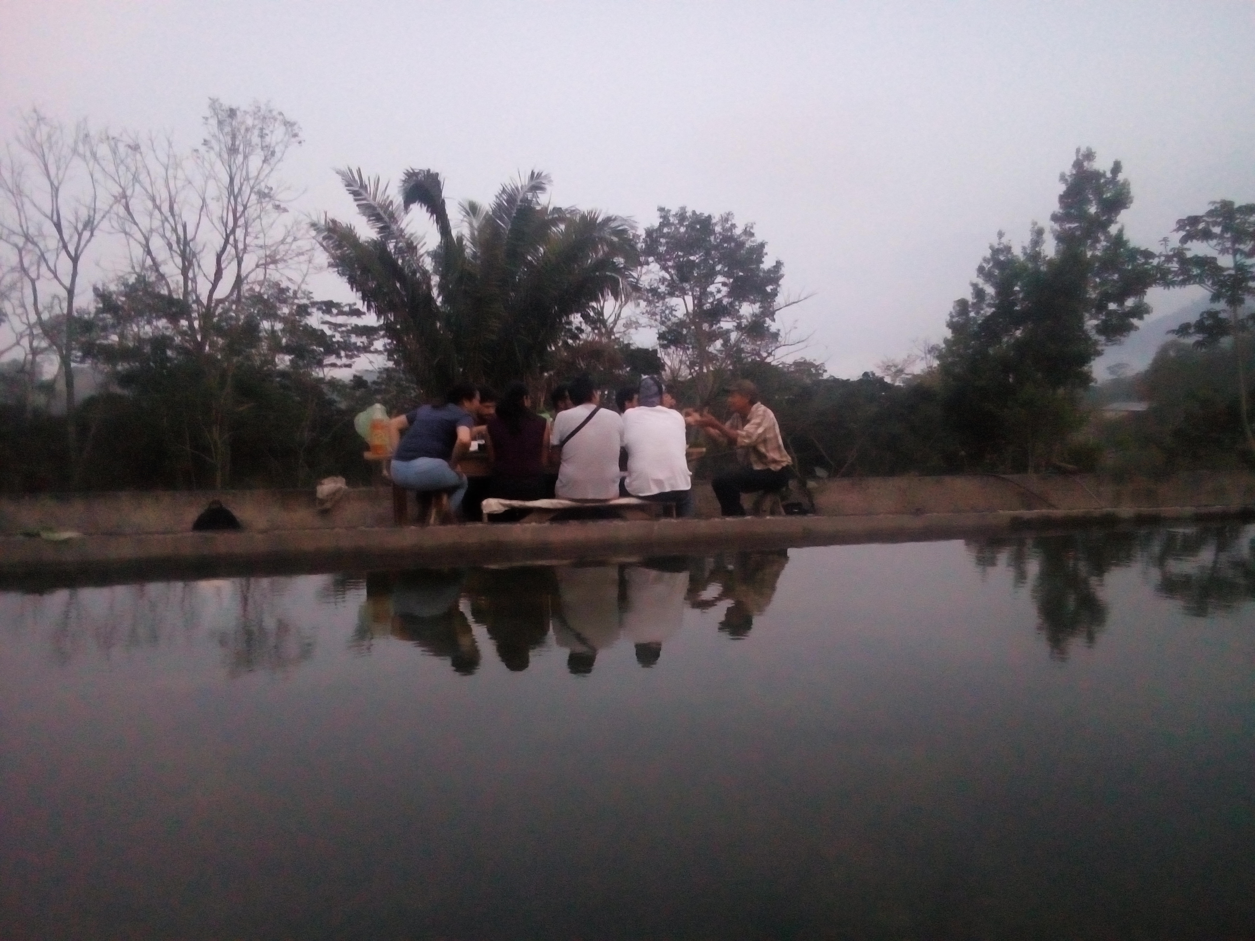 Cría y venta de mojarra Renkast restaurante y ecoturismo image 7