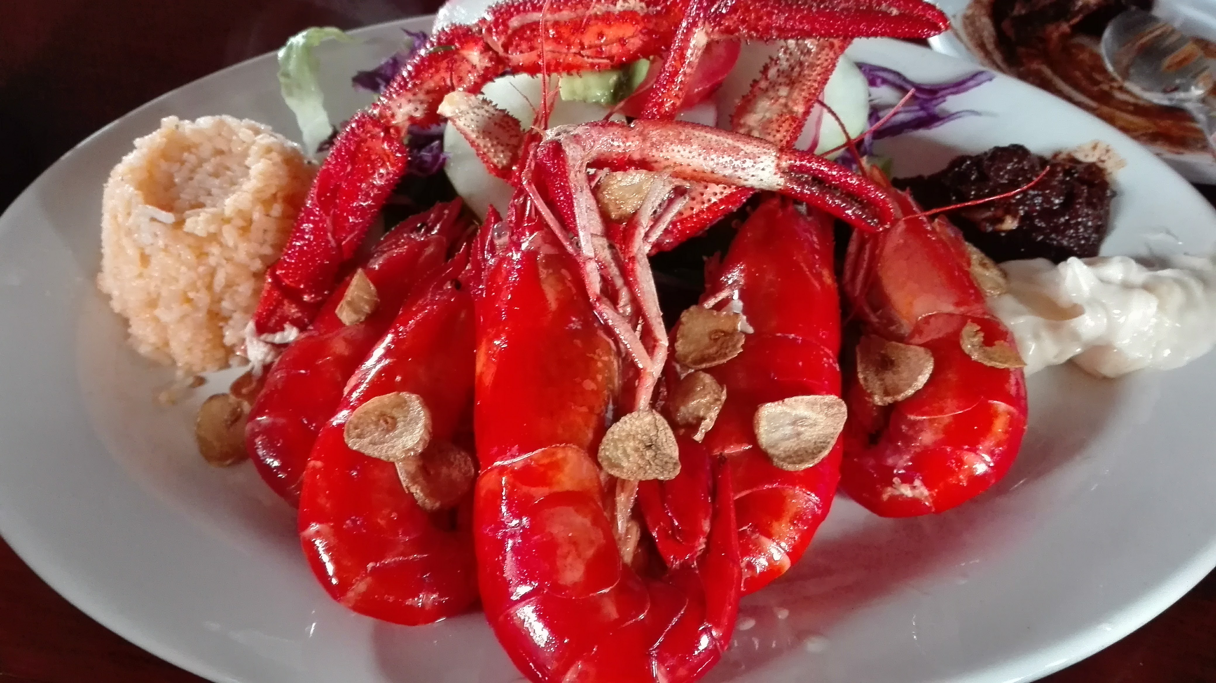 El Quelite Fiesta image 9