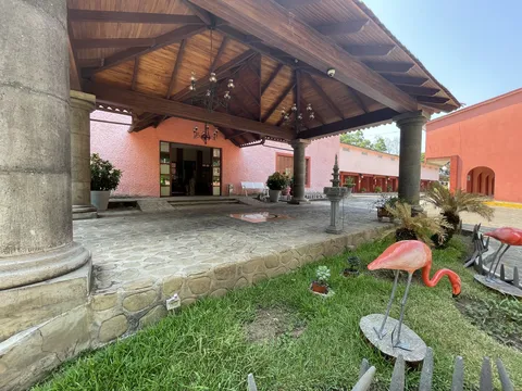 Las Iguanas image 3