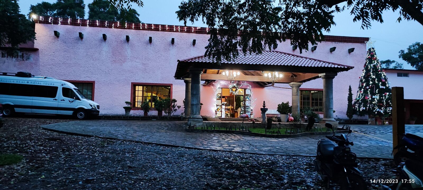 Las Iguanas image 8