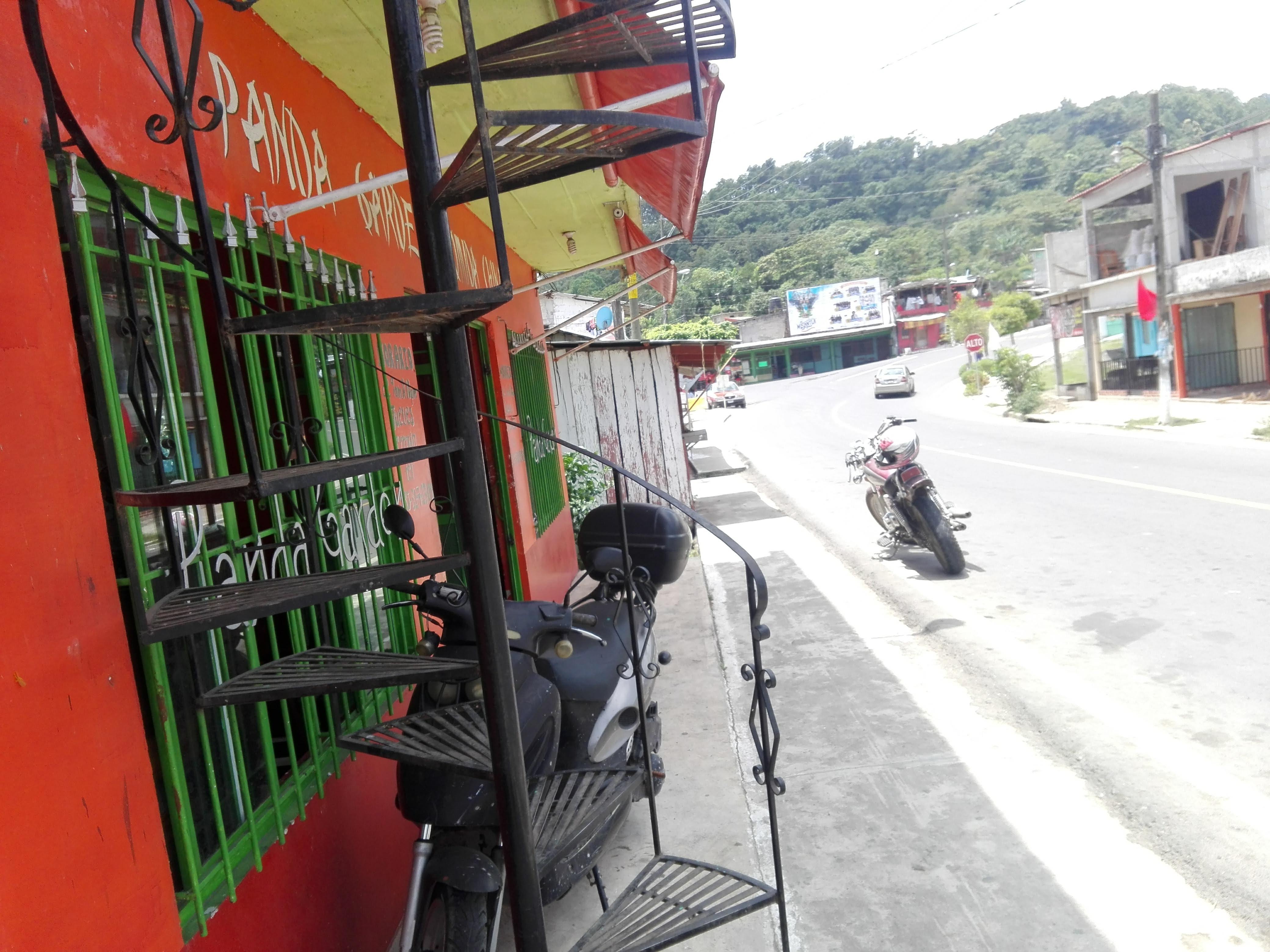 Panda garden image 8