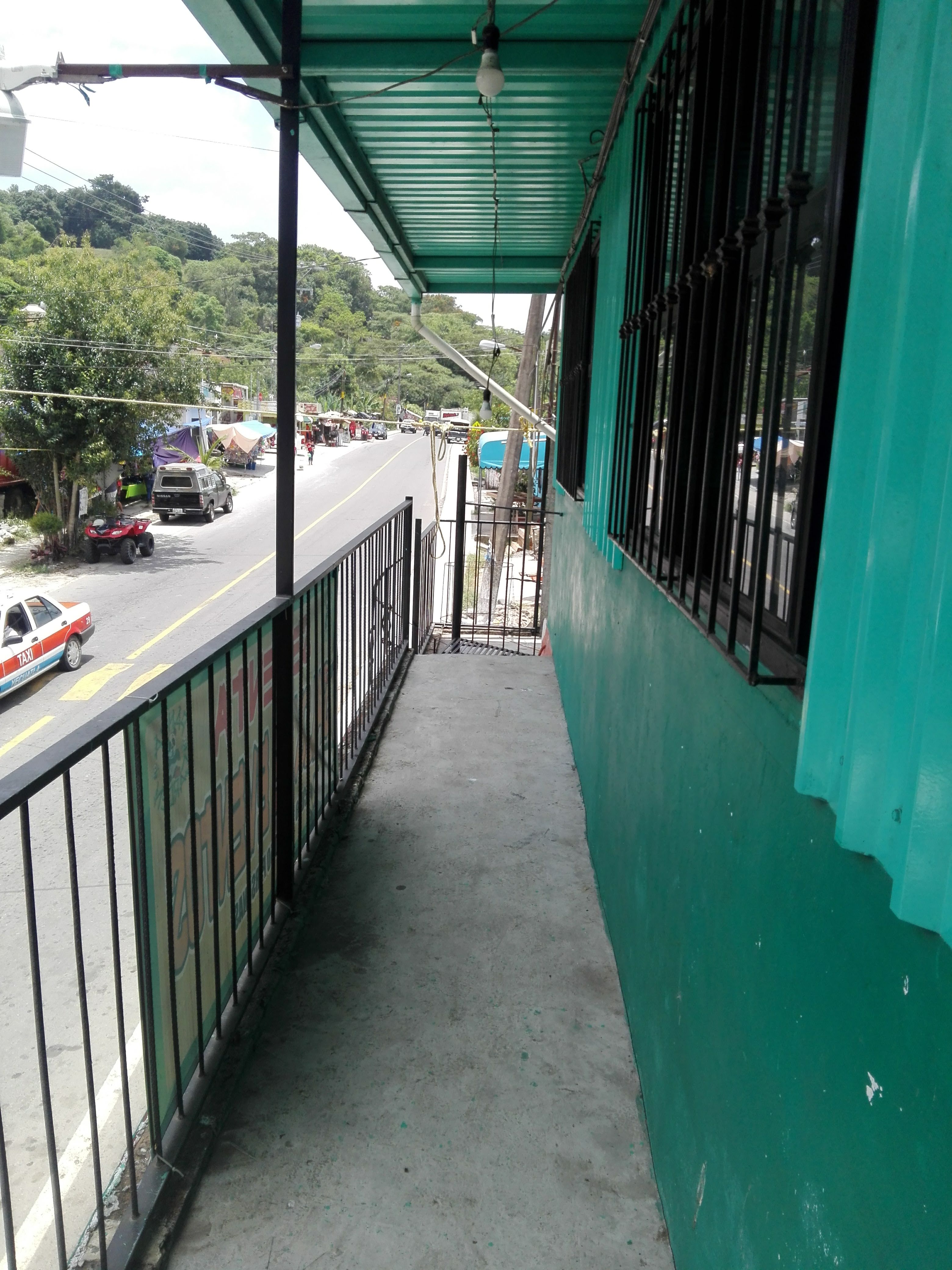 Panda garden image 9