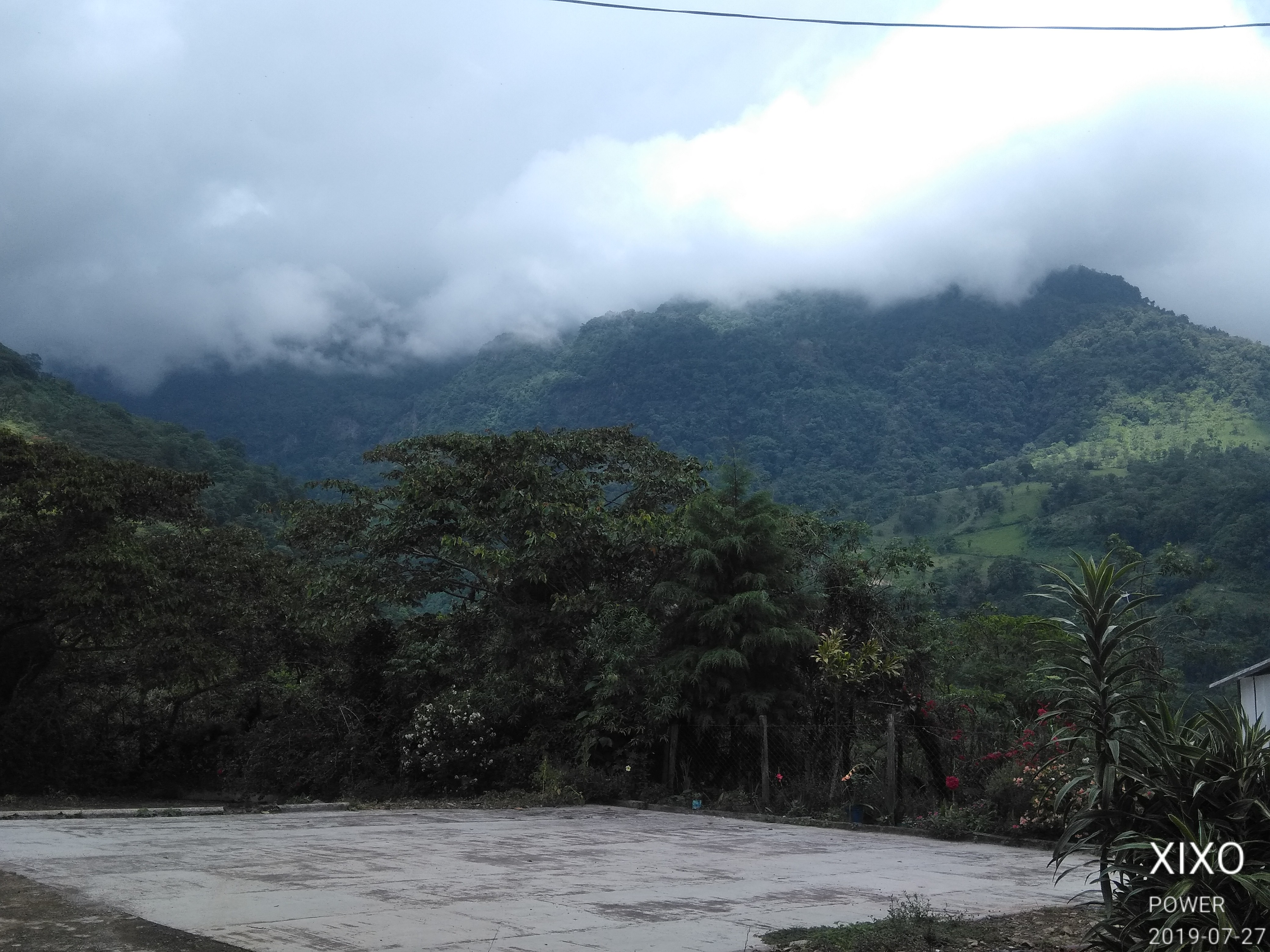 Panda garden image 10