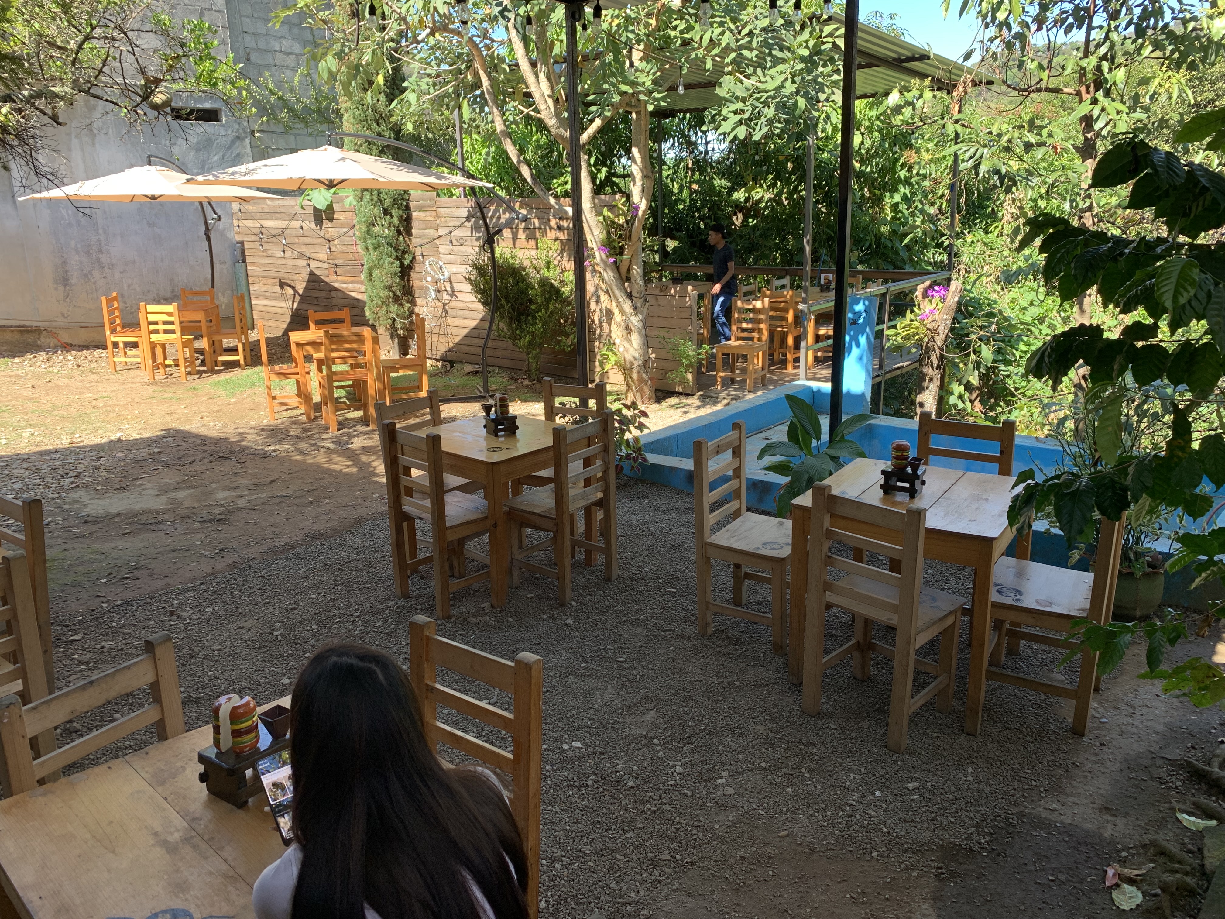 Cafetal Wings Pacayal image 1