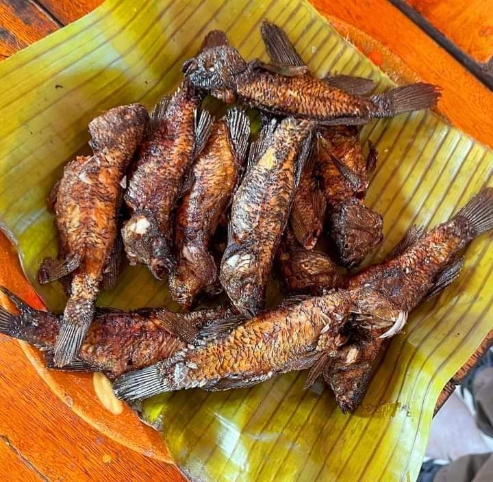 Pantanos de Centla Restaurante El negro chon, paseos en lancha (Tours) y cabañas. image 2