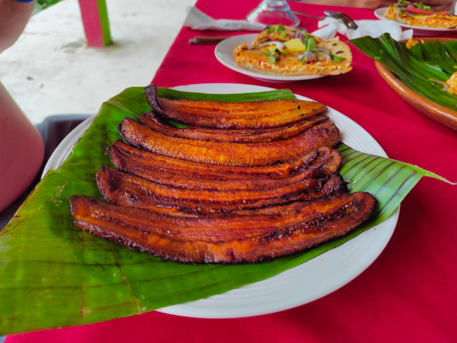 Pantanos de Centla Restaurante El negro chon, paseos en lancha (Tours) y cabañas. image 3