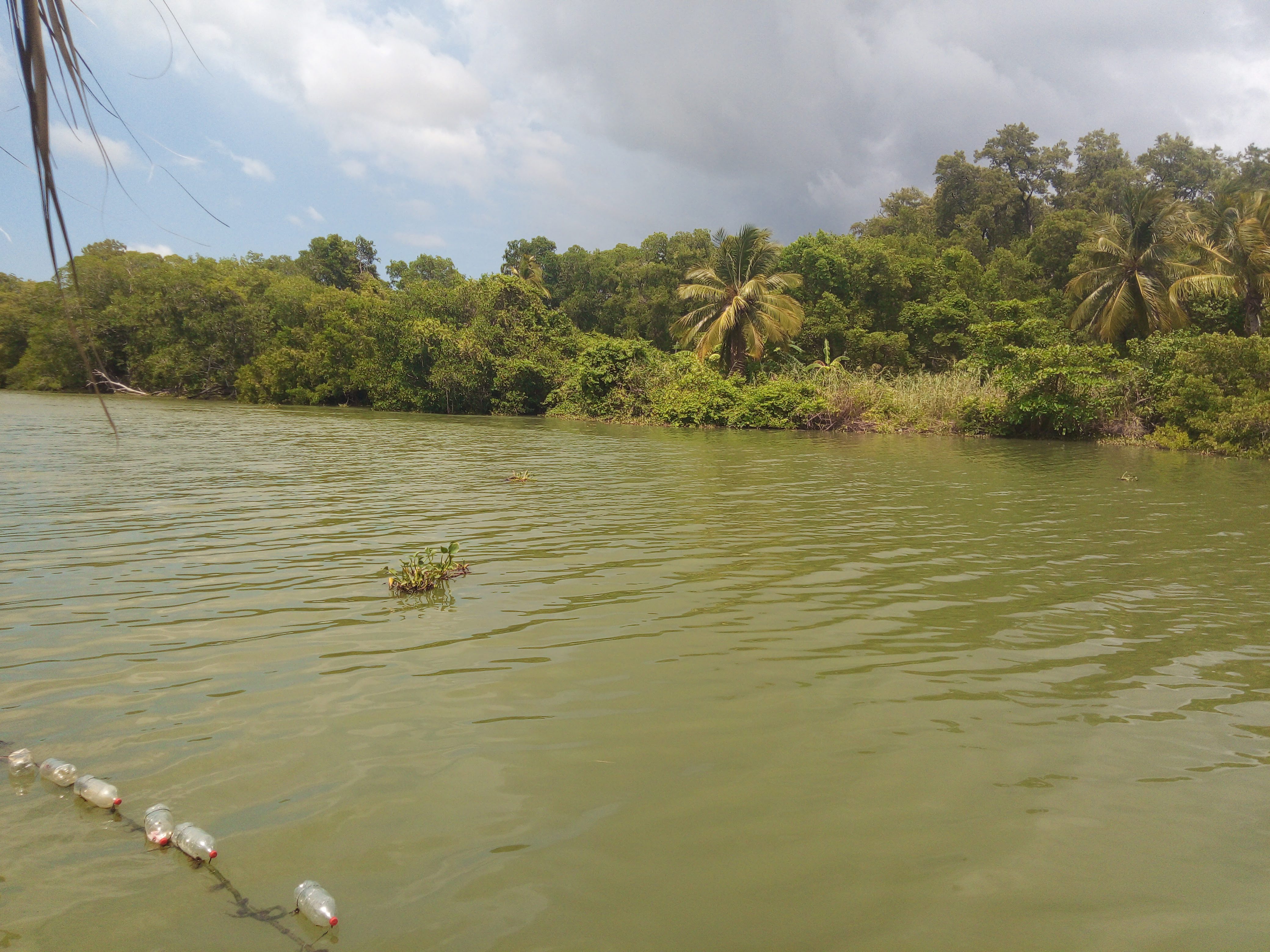 Restaurante familiar LA CHOZA image 3