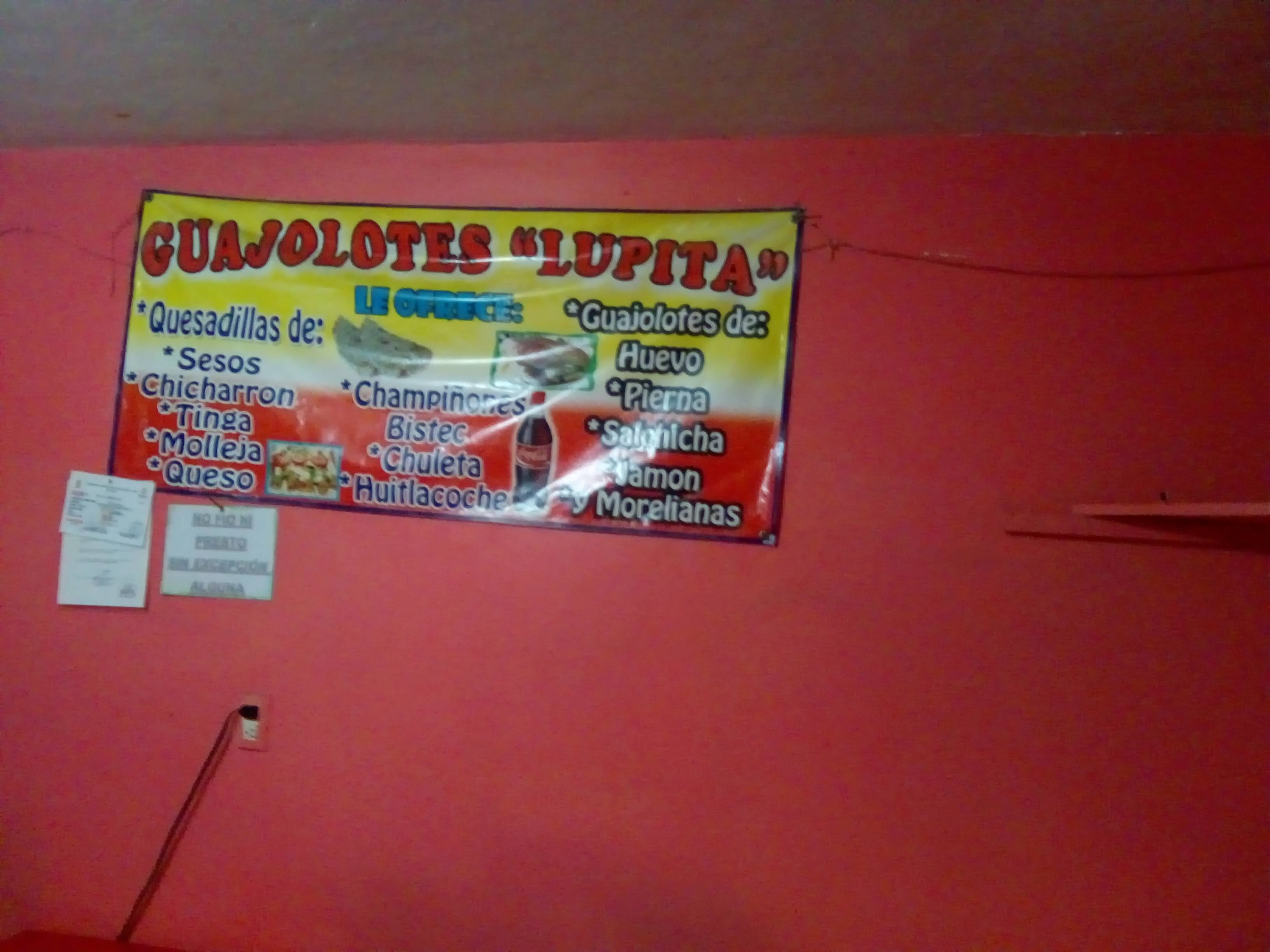 Guajolotes "Lupita" image 3