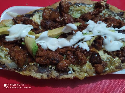 Guajolotes "Lupita" image 5