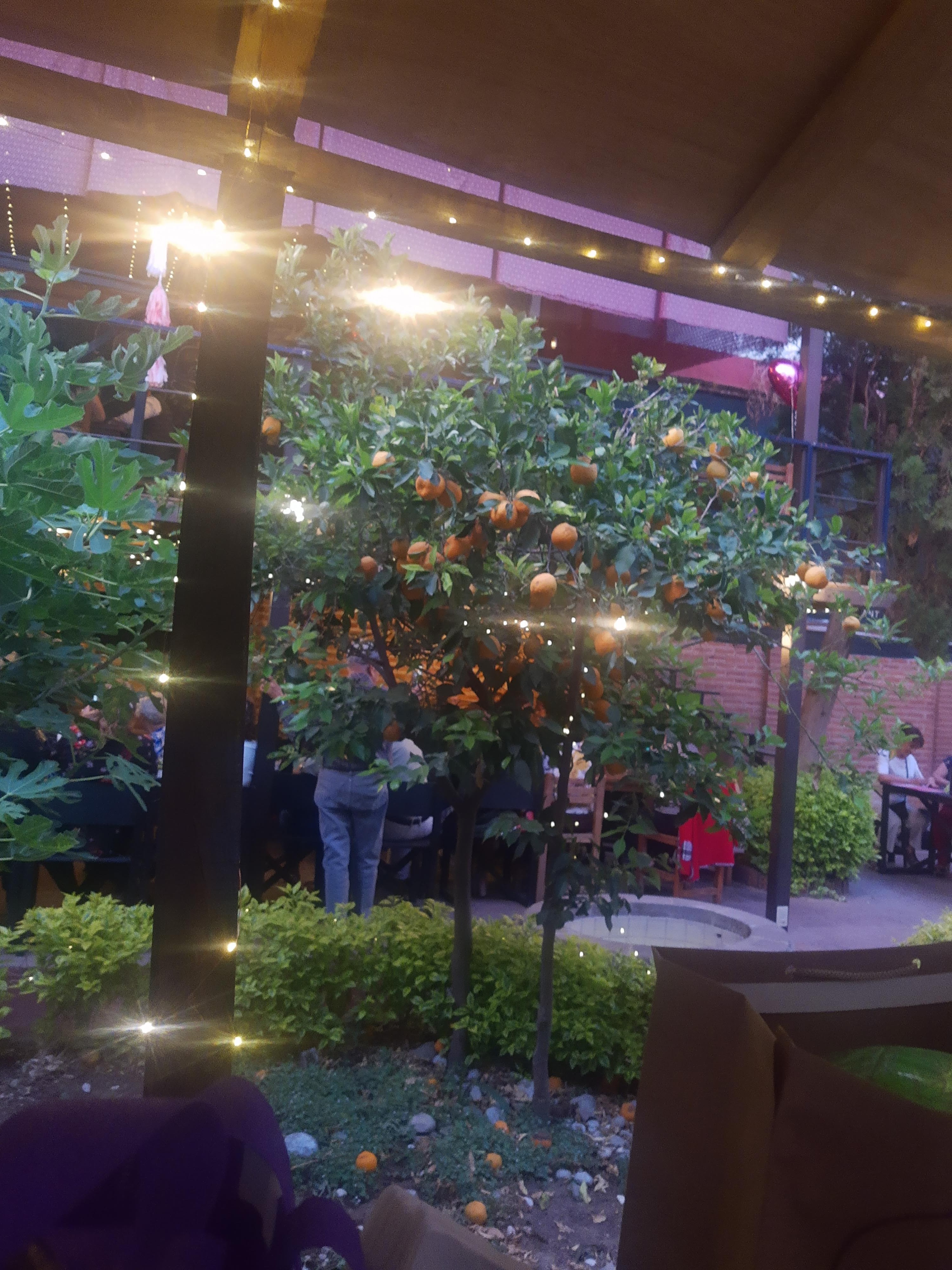 Restaurante-Café Frida Tulancingo image 7