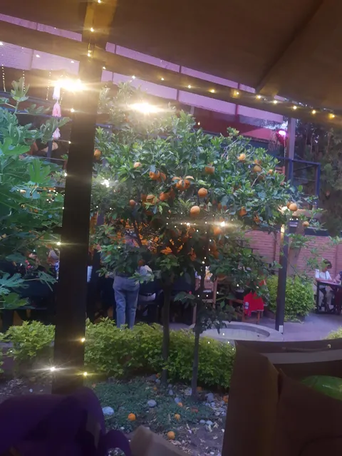 Restaurante-Café Frida Tulancingo image 7