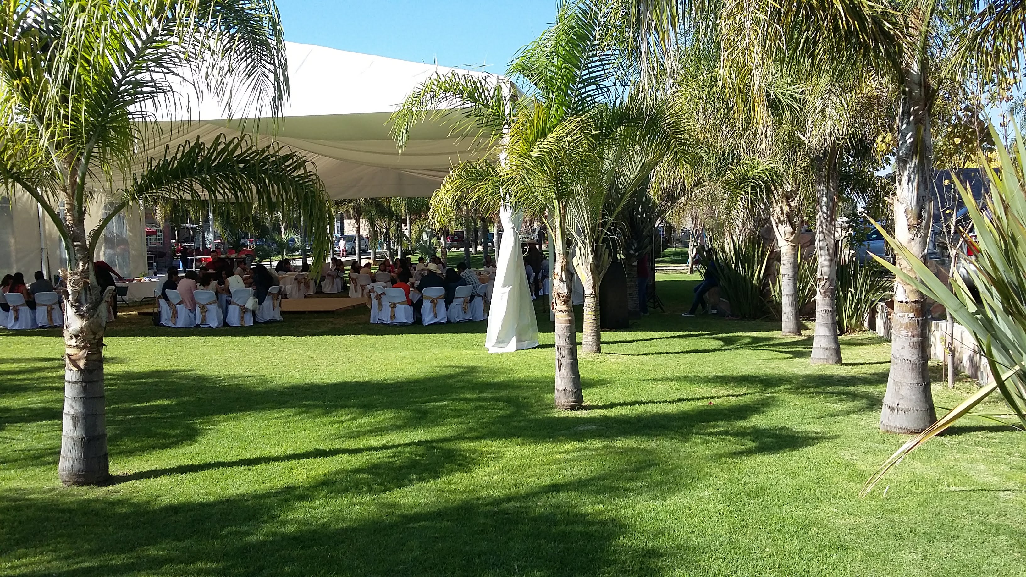 Finca Familar 3 Hermanos image 6