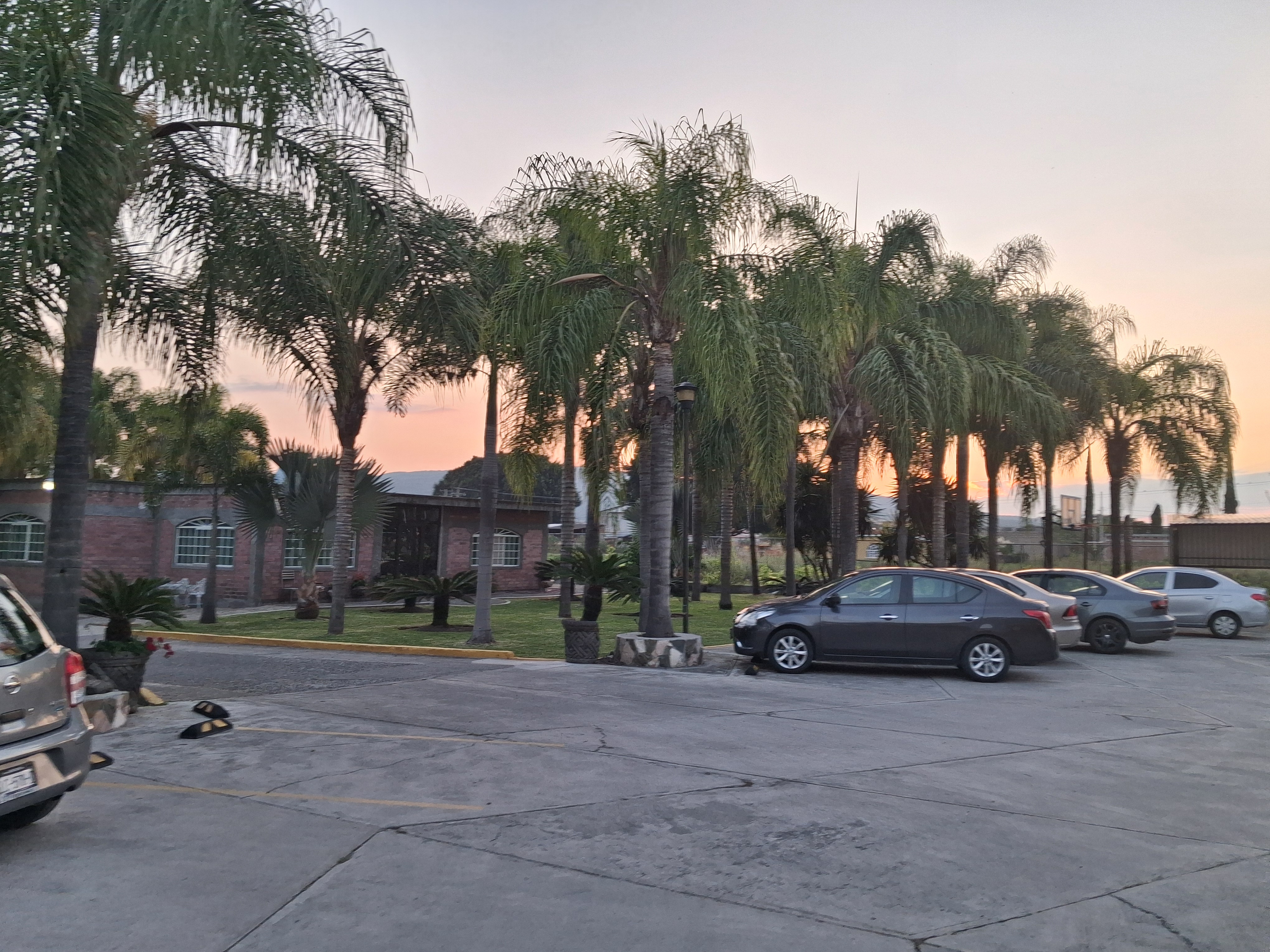 Finca Familar 3 Hermanos image 9