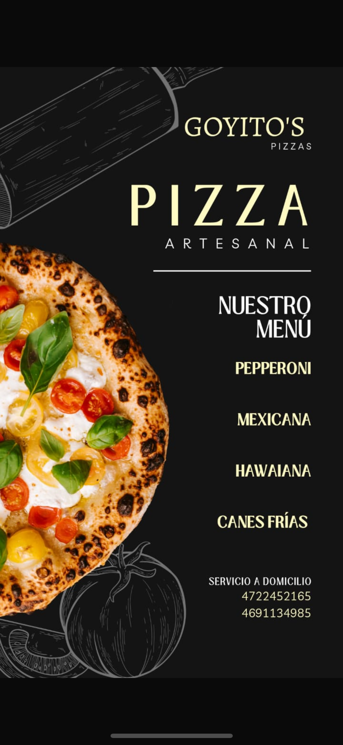 GOYITO’S PIZZA image 1