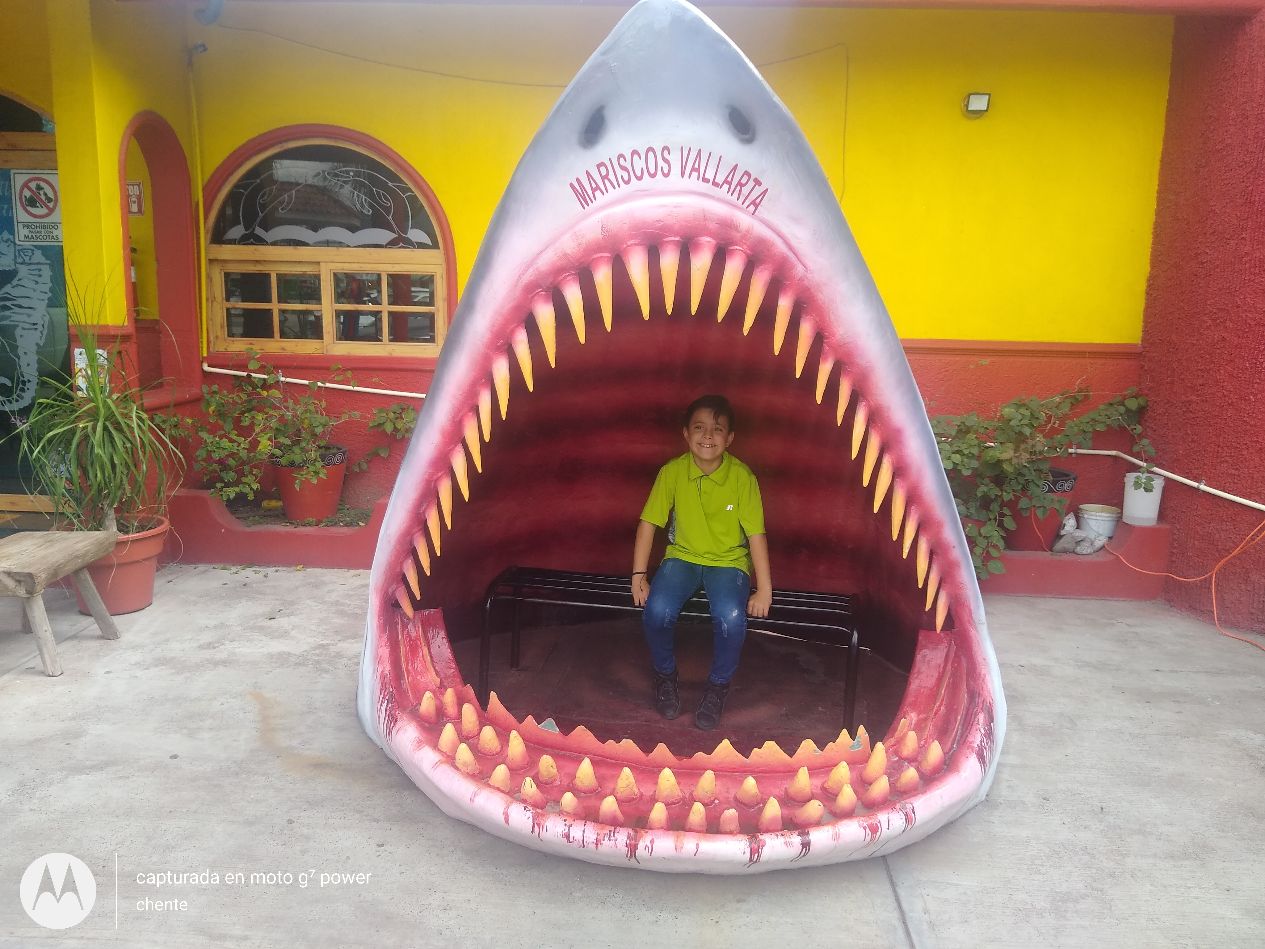 MARISCOS VALLARTAS image 9