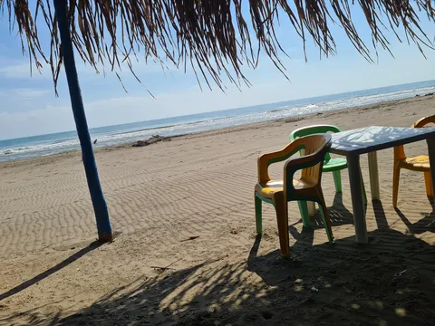 Palapa Ofe image 7