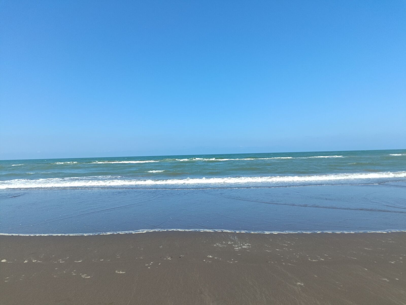 Palapa Ofe image 9