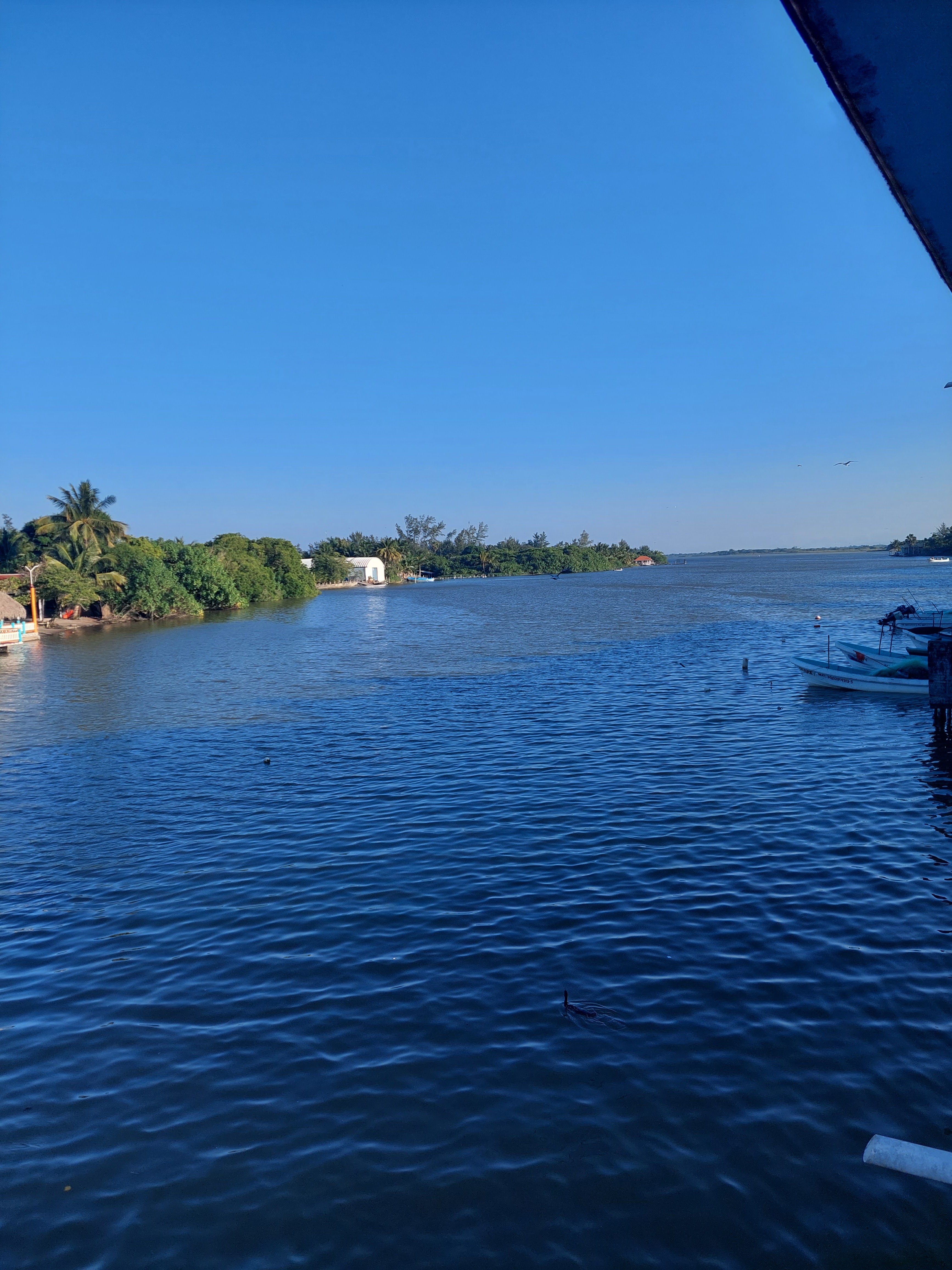 La Cabañita image 4