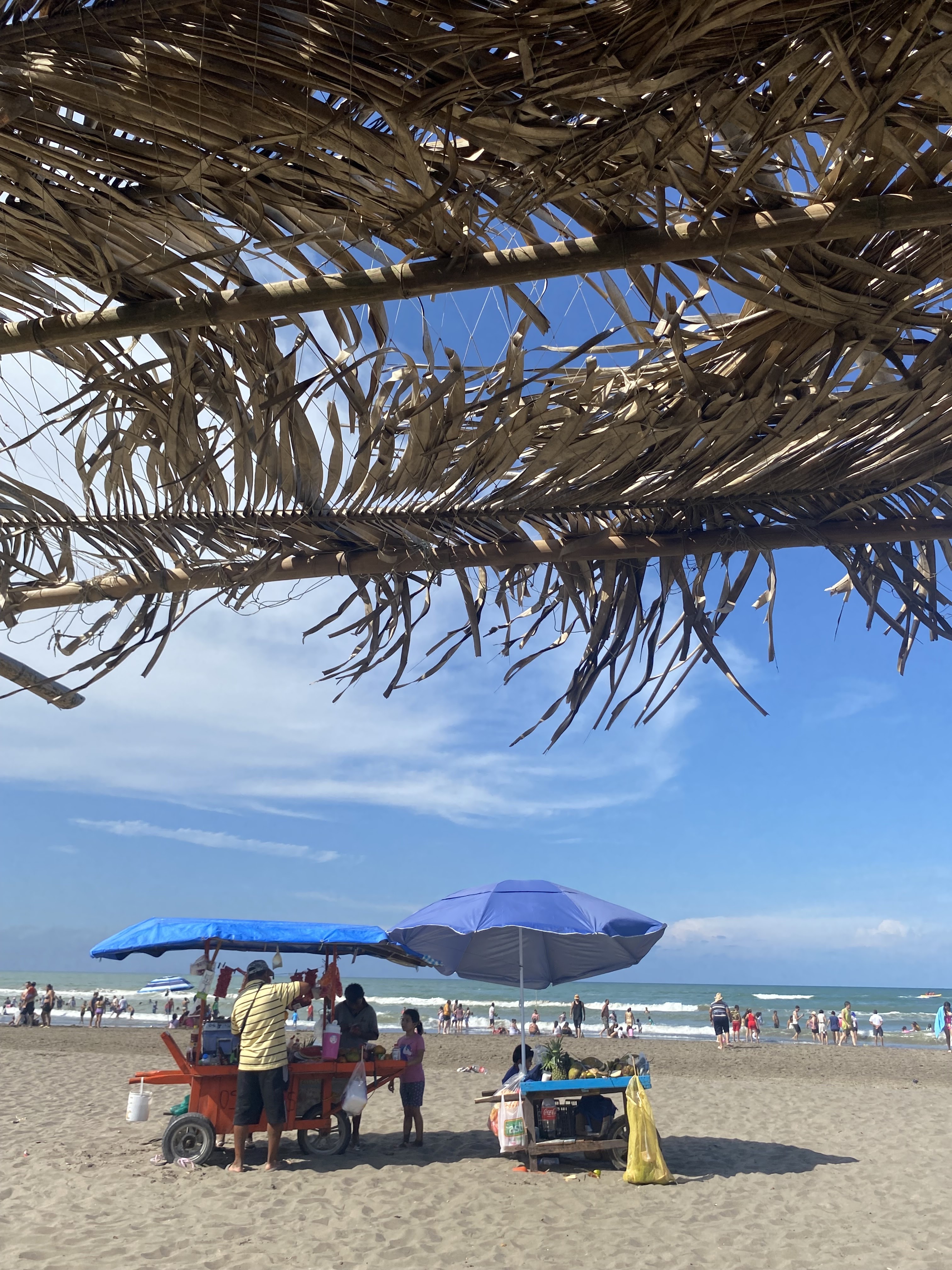 Palapa La Costeñita image 3