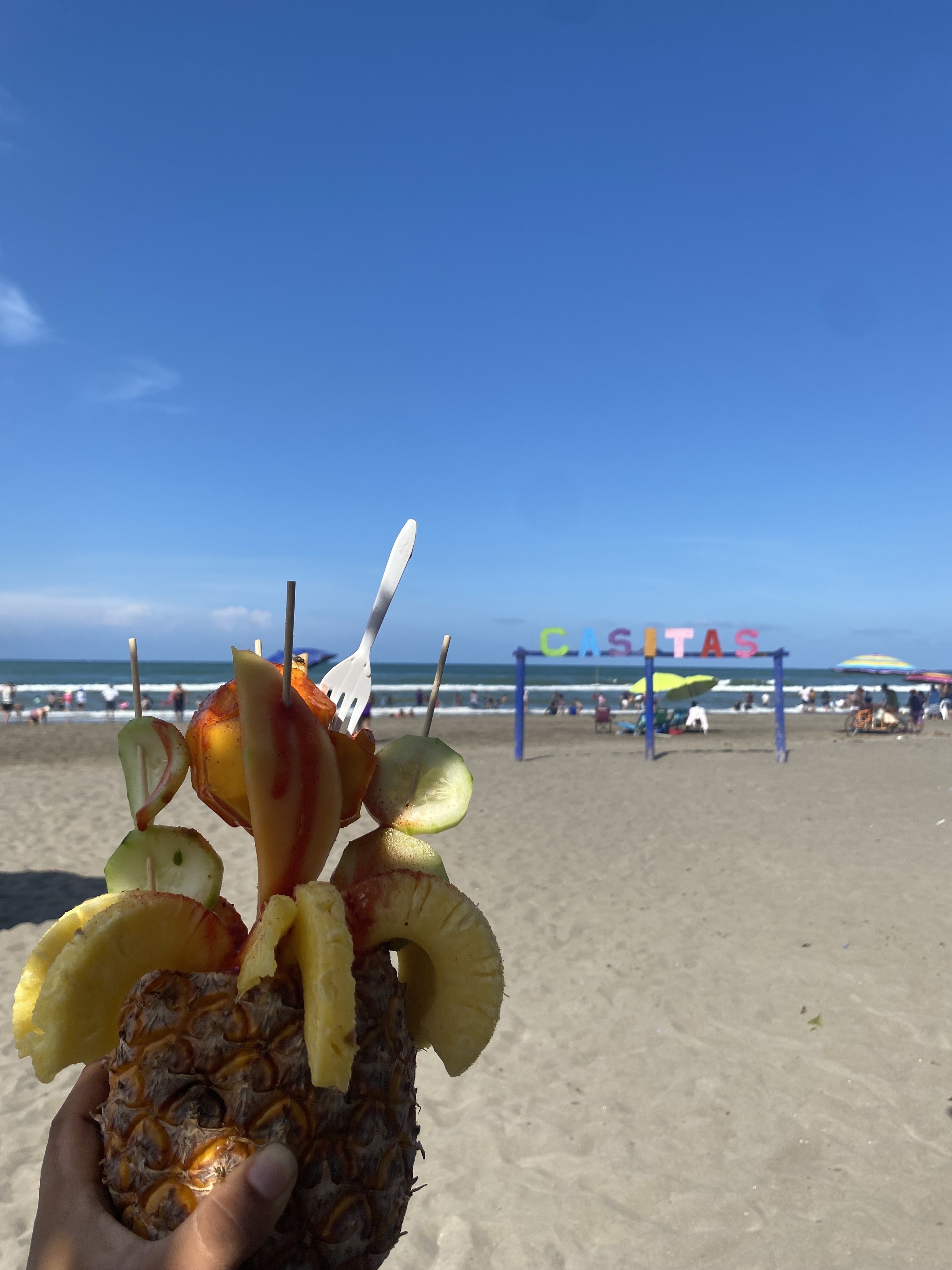 Palapa La Costeñita image 5