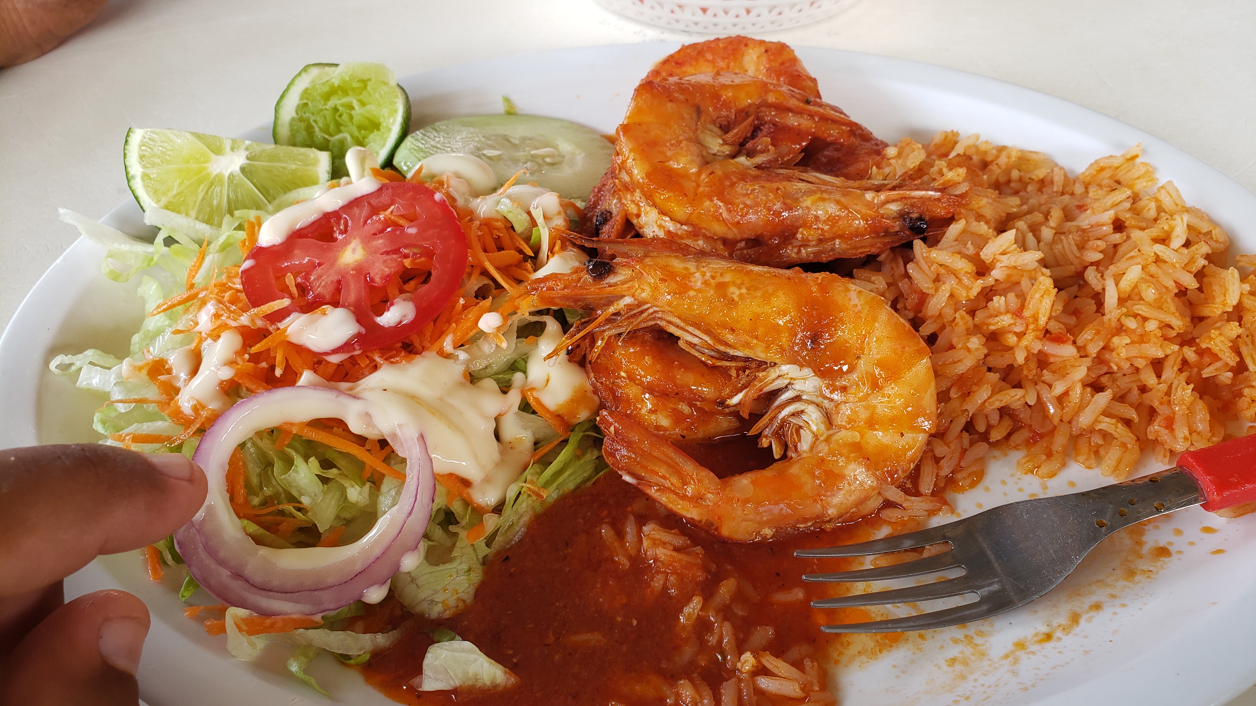 Palapa La Costeñita image 9