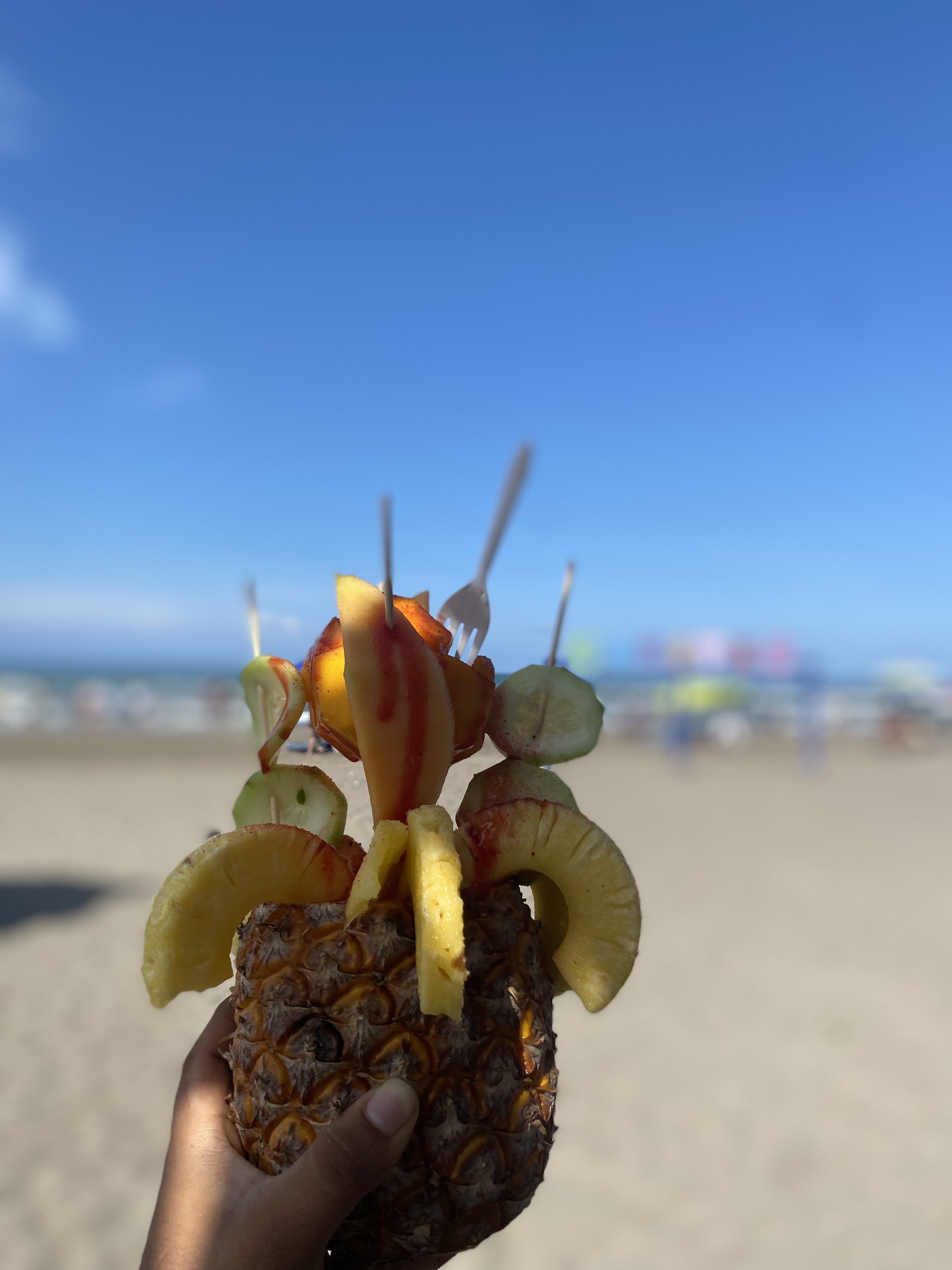 Palapa La Costeñita image 10