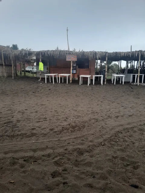 Palapa Ede (rinconcito Nauteco) image 1