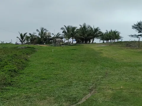 Palapa el arenal image 3