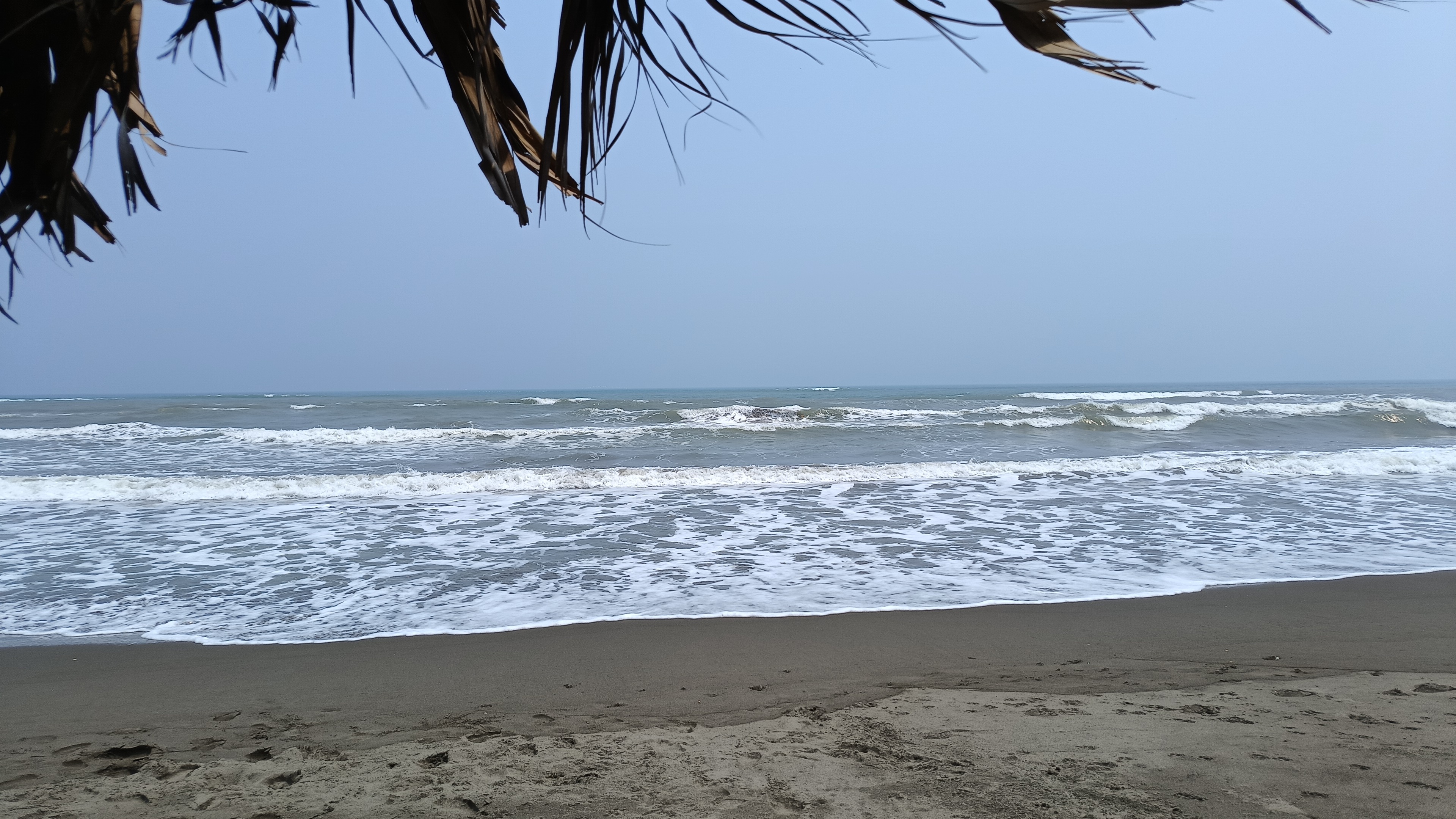 Palapa el arenal image 4