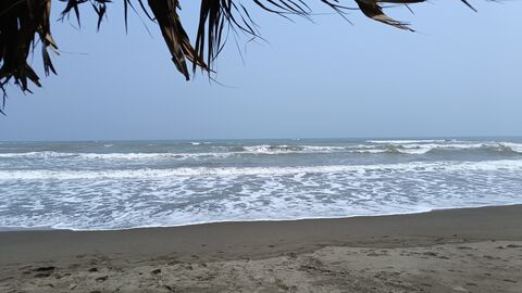 Palapa el arenal image 4