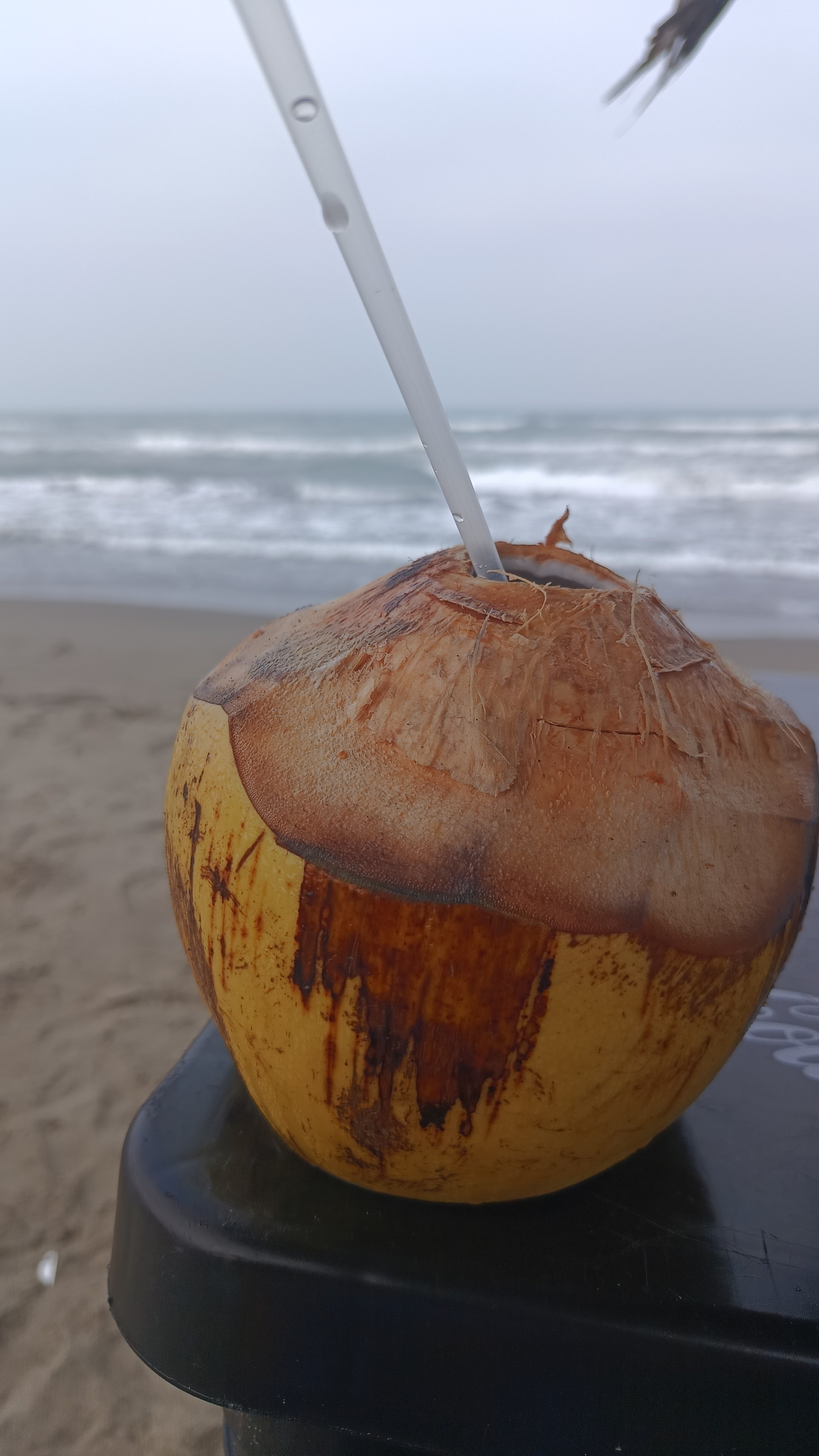 Palapa el arenal image 5