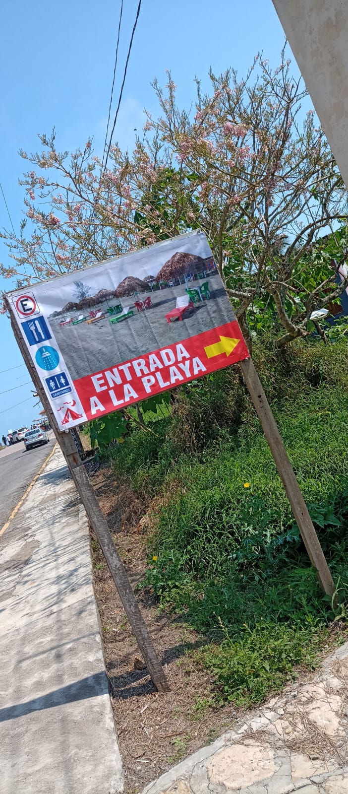 Palapa el arenal image 7