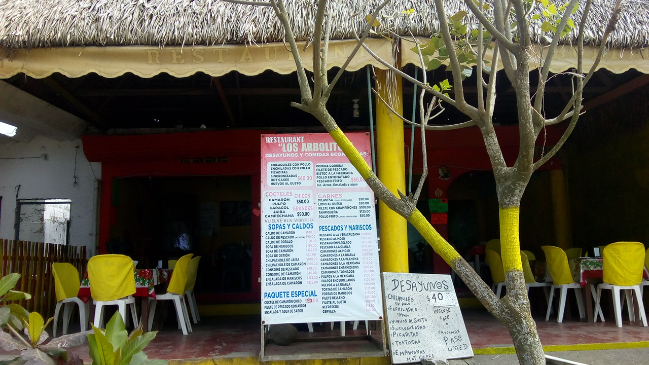 Los Arbolitos image 3