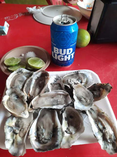 Los Arbolitos image 7
