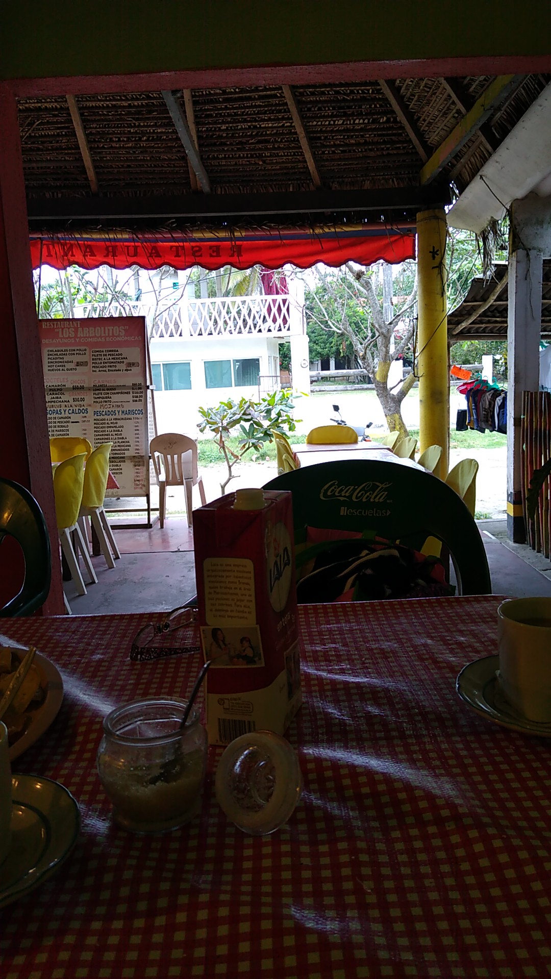 Los Arbolitos image 8