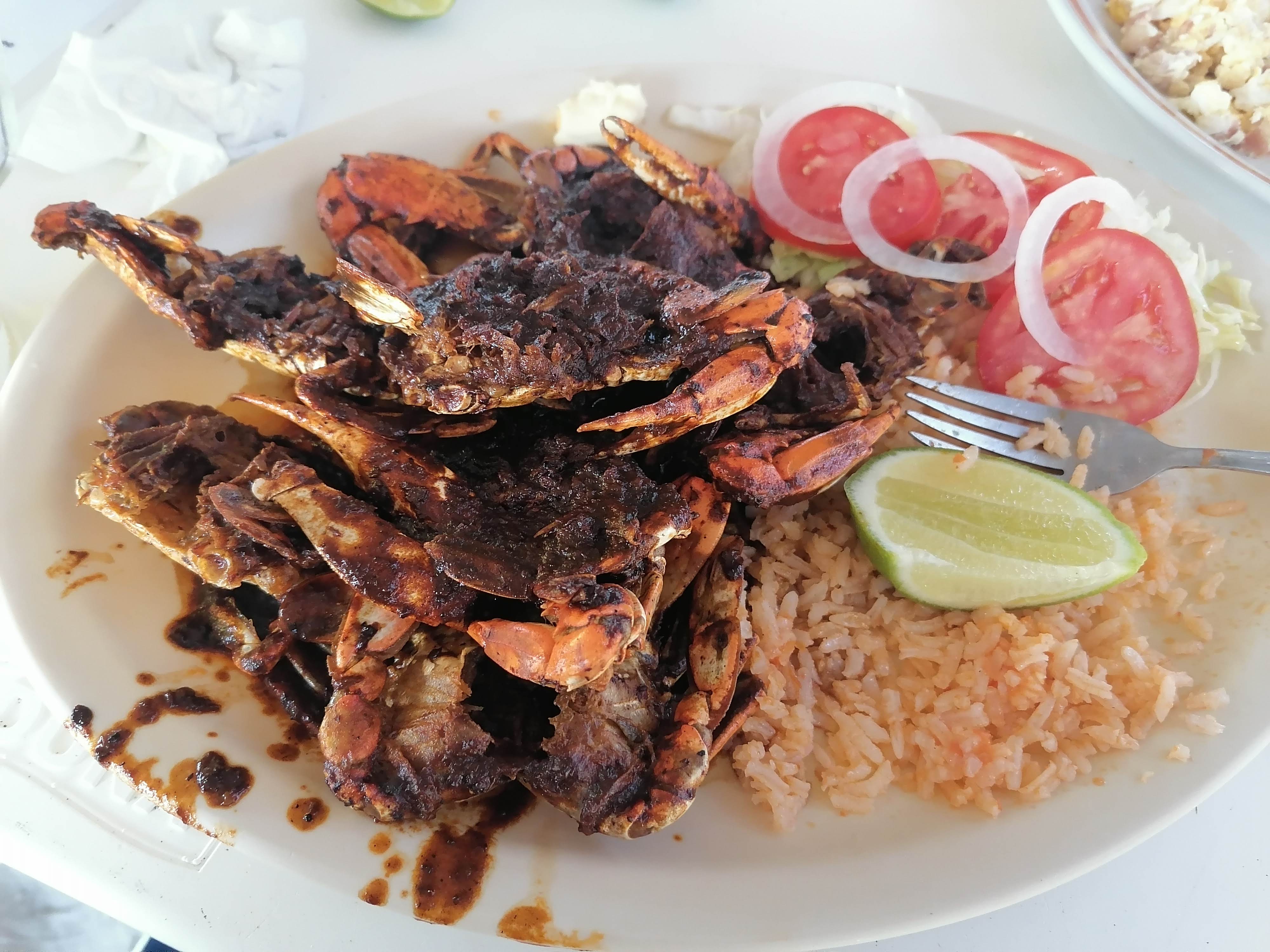 Palapa magna image 1