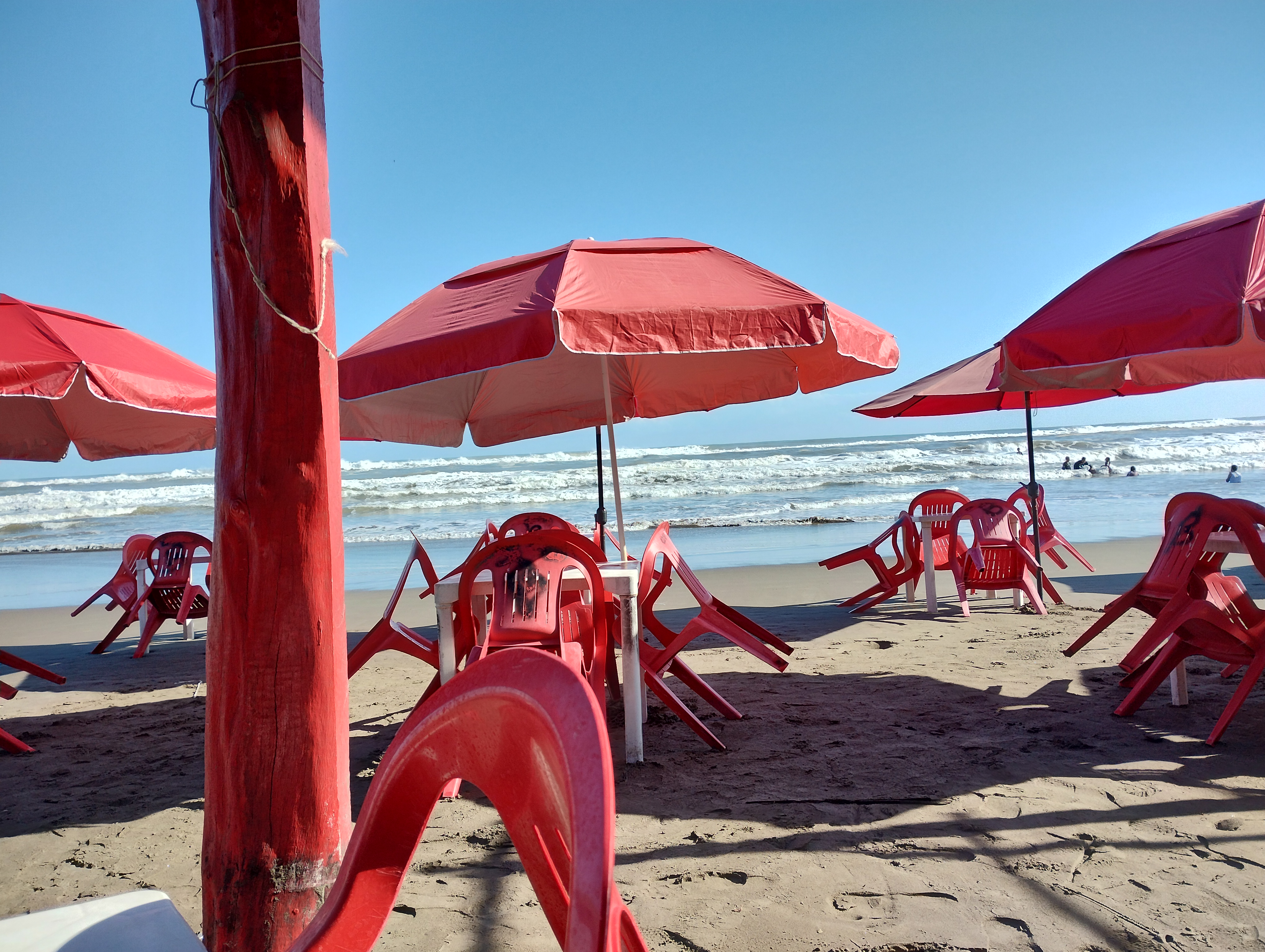 Palapa magna image 2